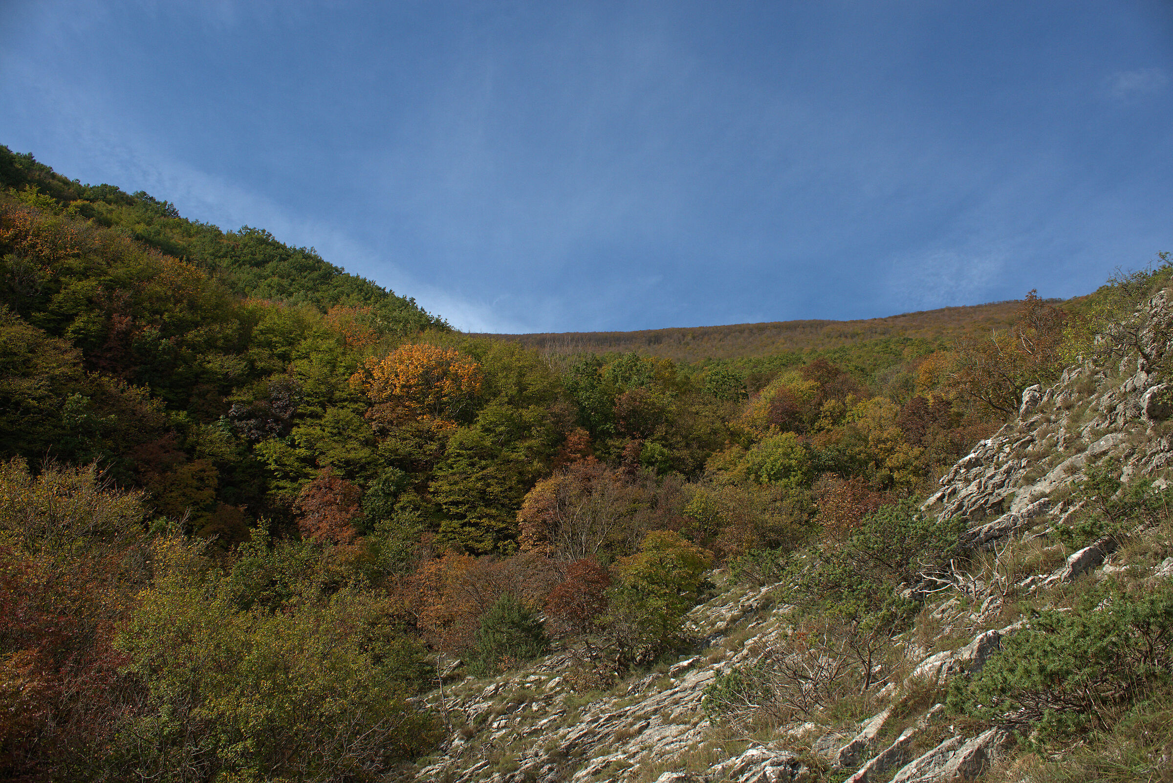 Boschi di Fabriano (AN)