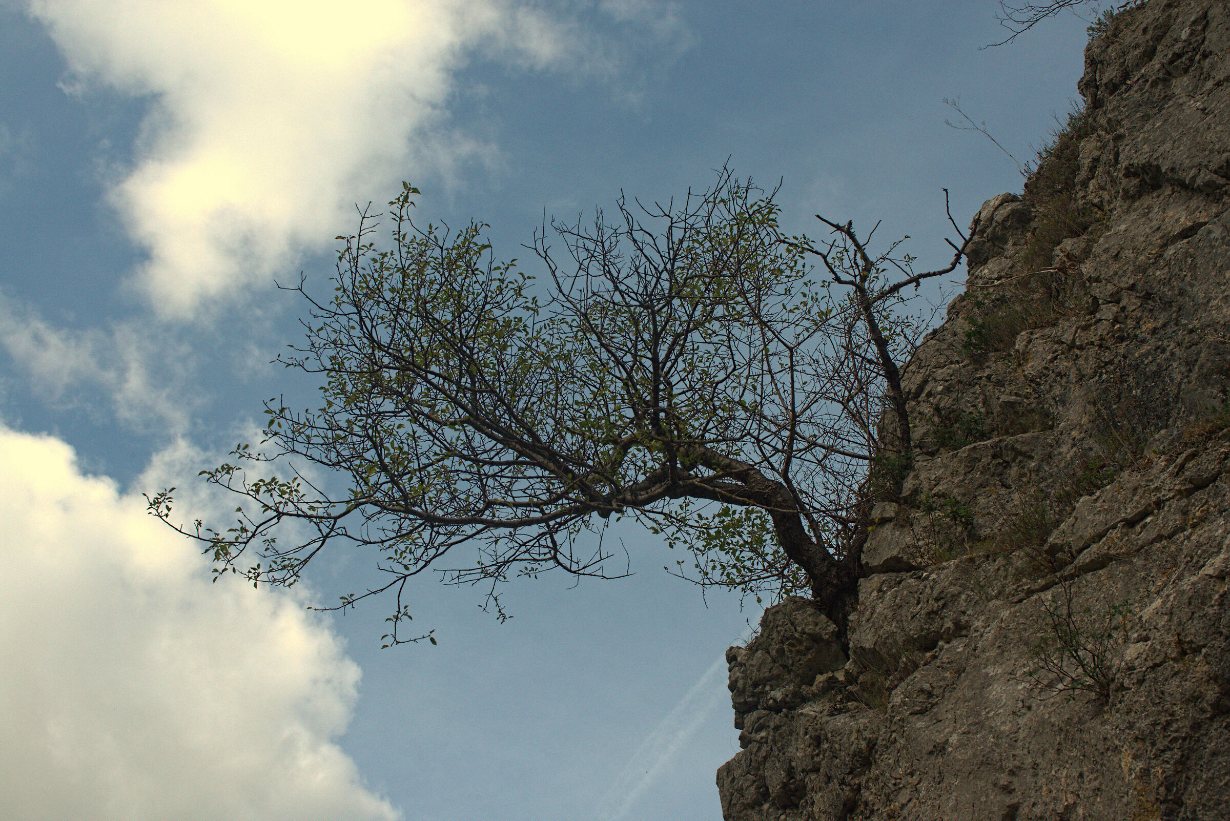 Boschi di Fabriano (AN)
