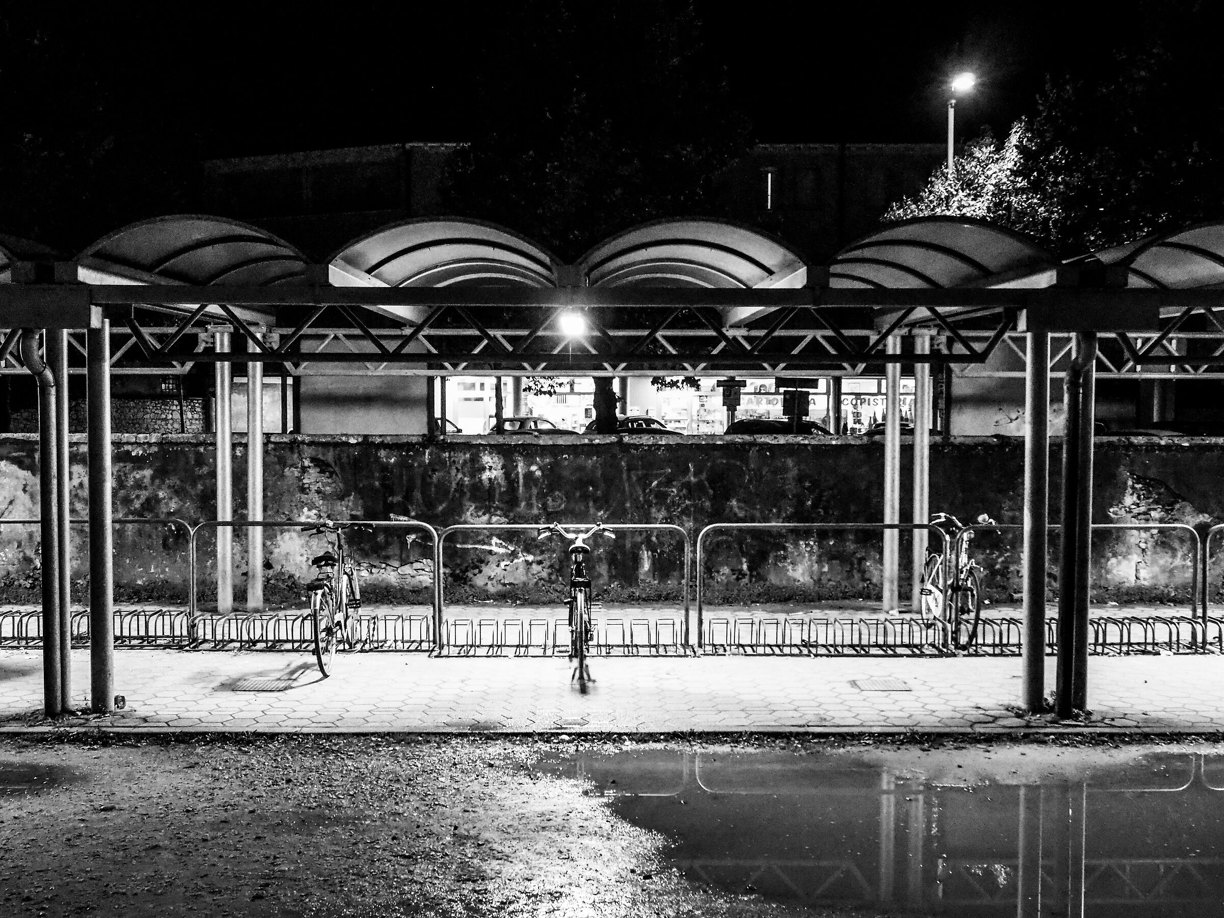 Bici in stazione