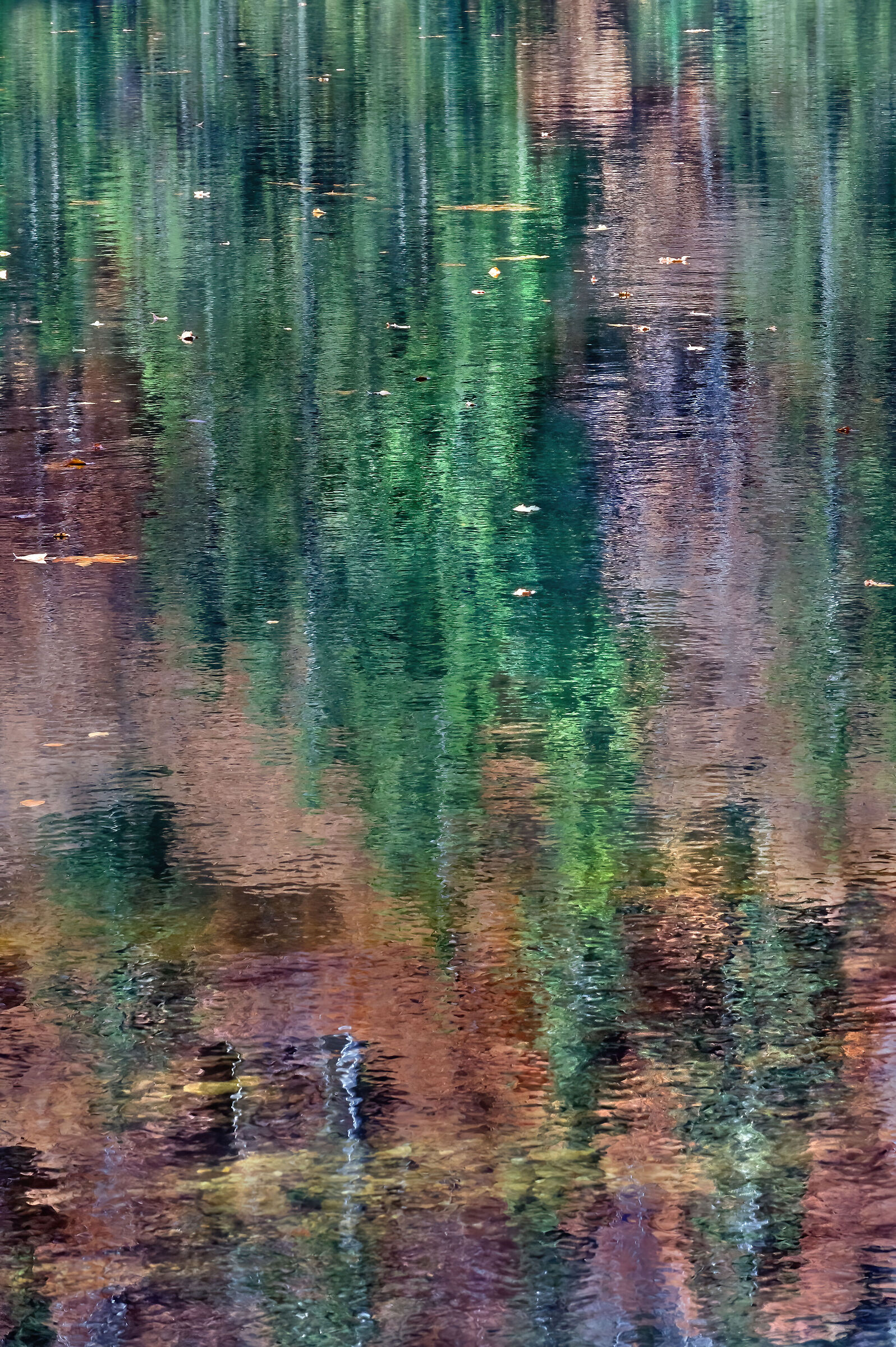 riflessi nel Rachelsee