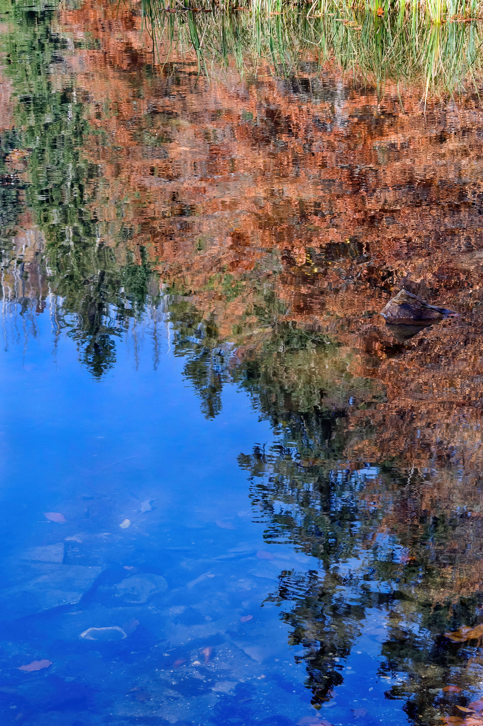 riflessi nel Rachelsee