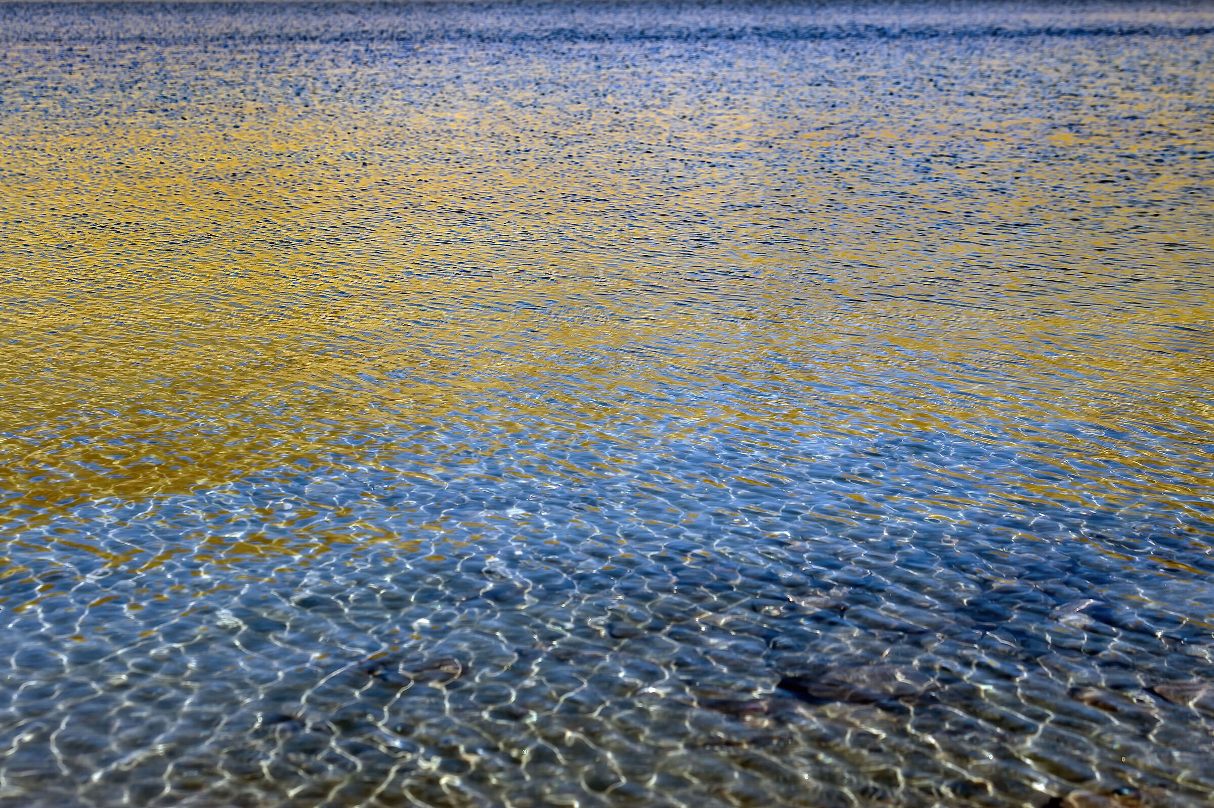 riflessi nel lago Rosset