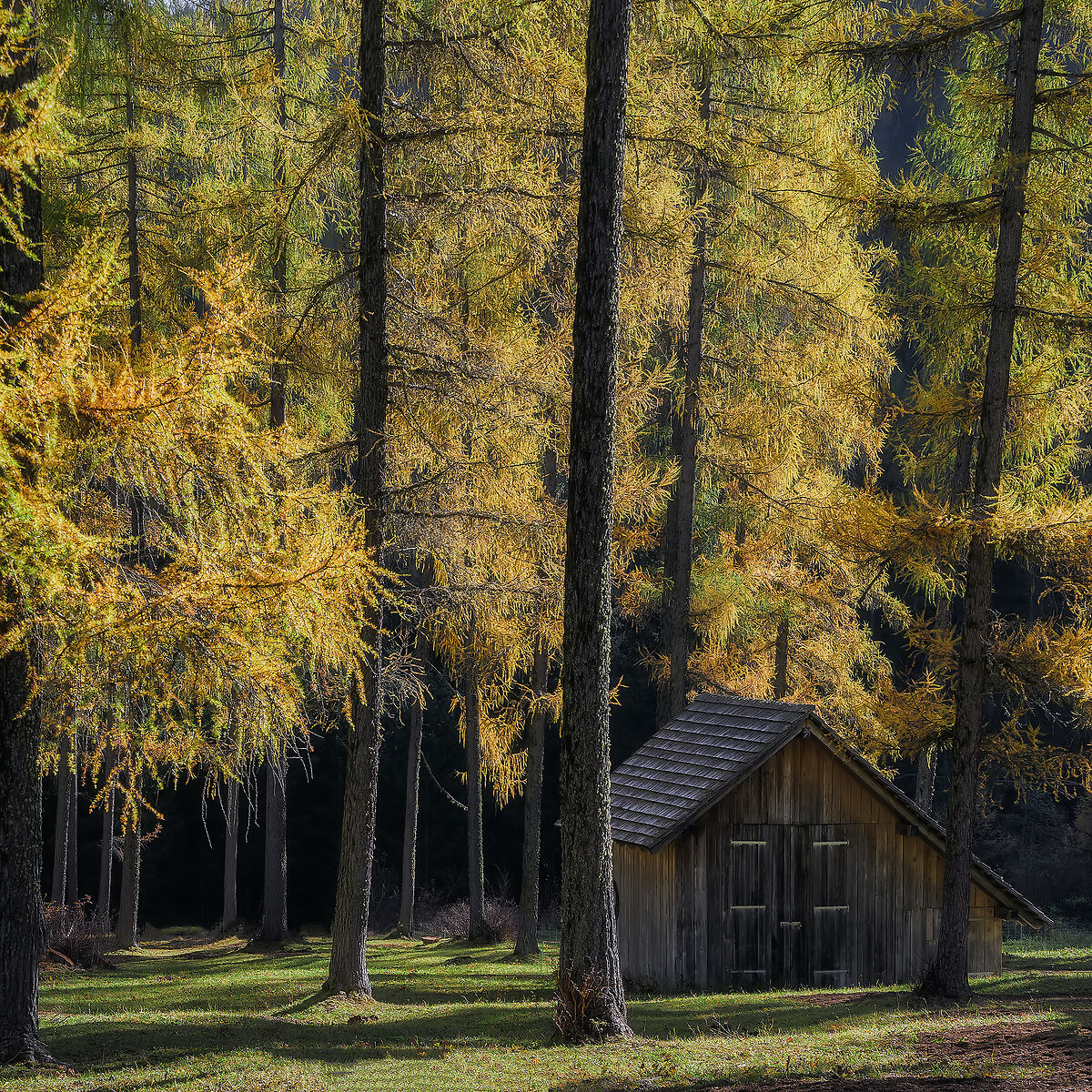 November in Val Fiscalina