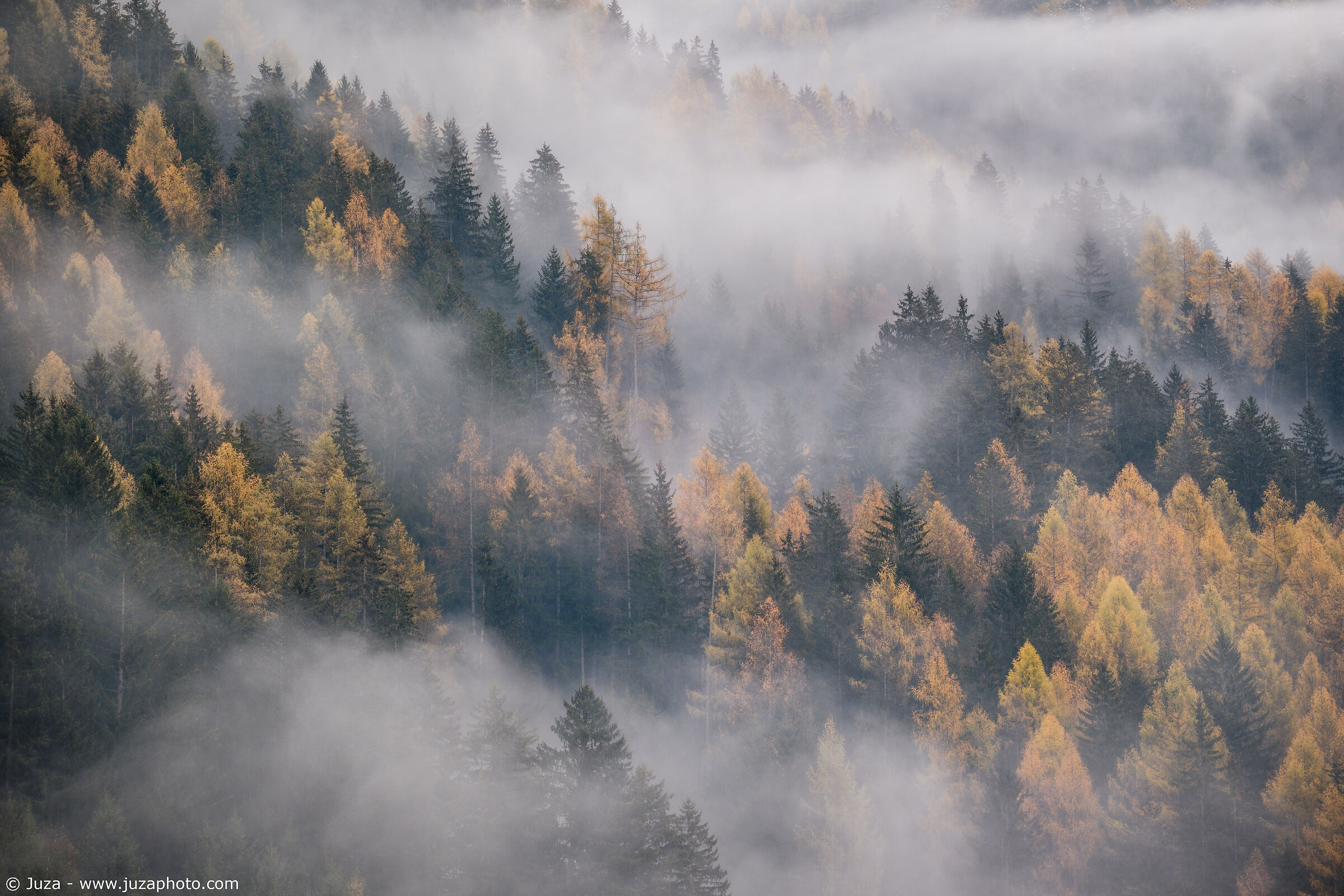 Autumn mists, Austria
