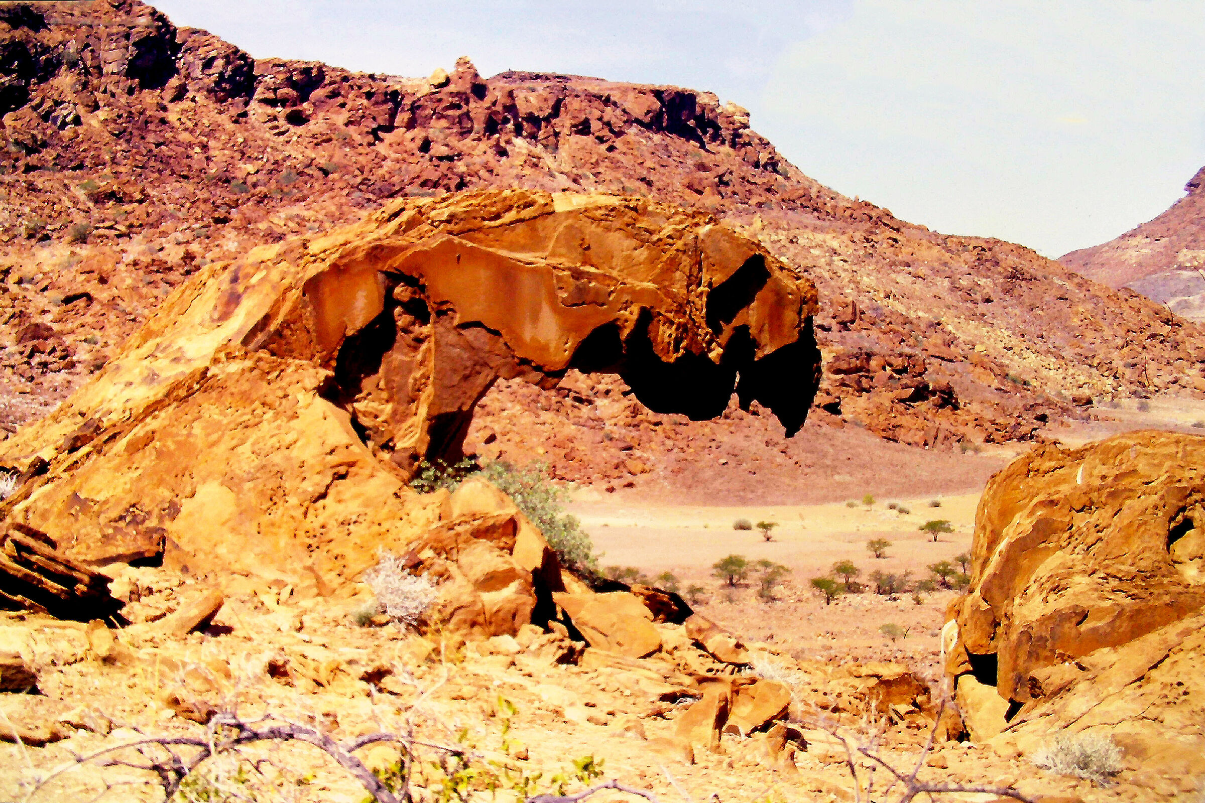 Namibia 1997 - Il rapace pietrificato