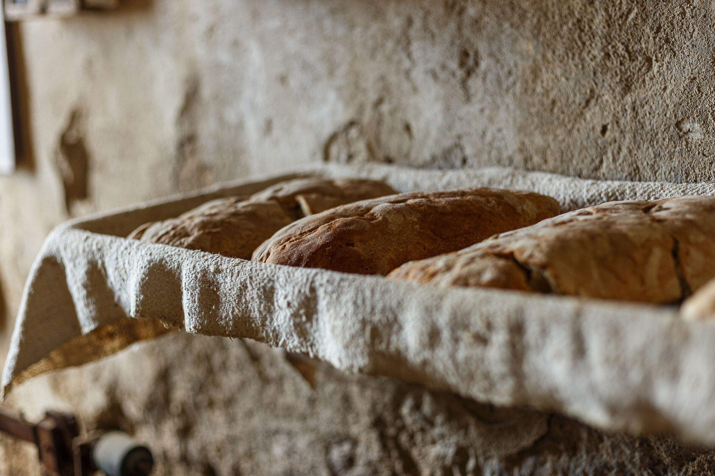 Tuscia 8