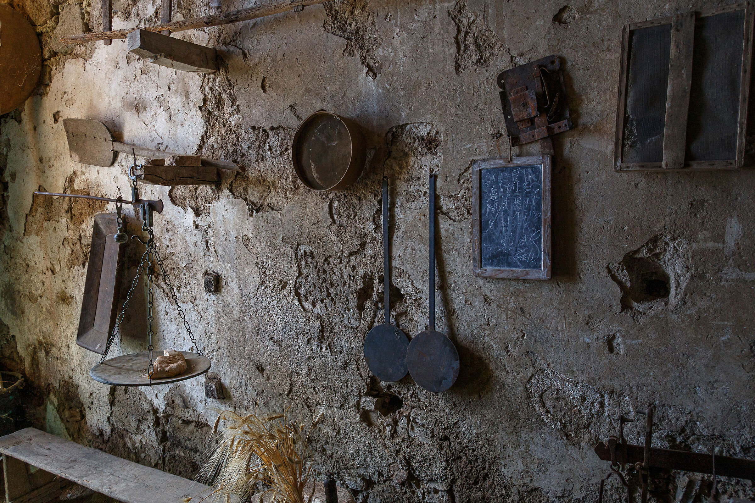 Tuscia 9