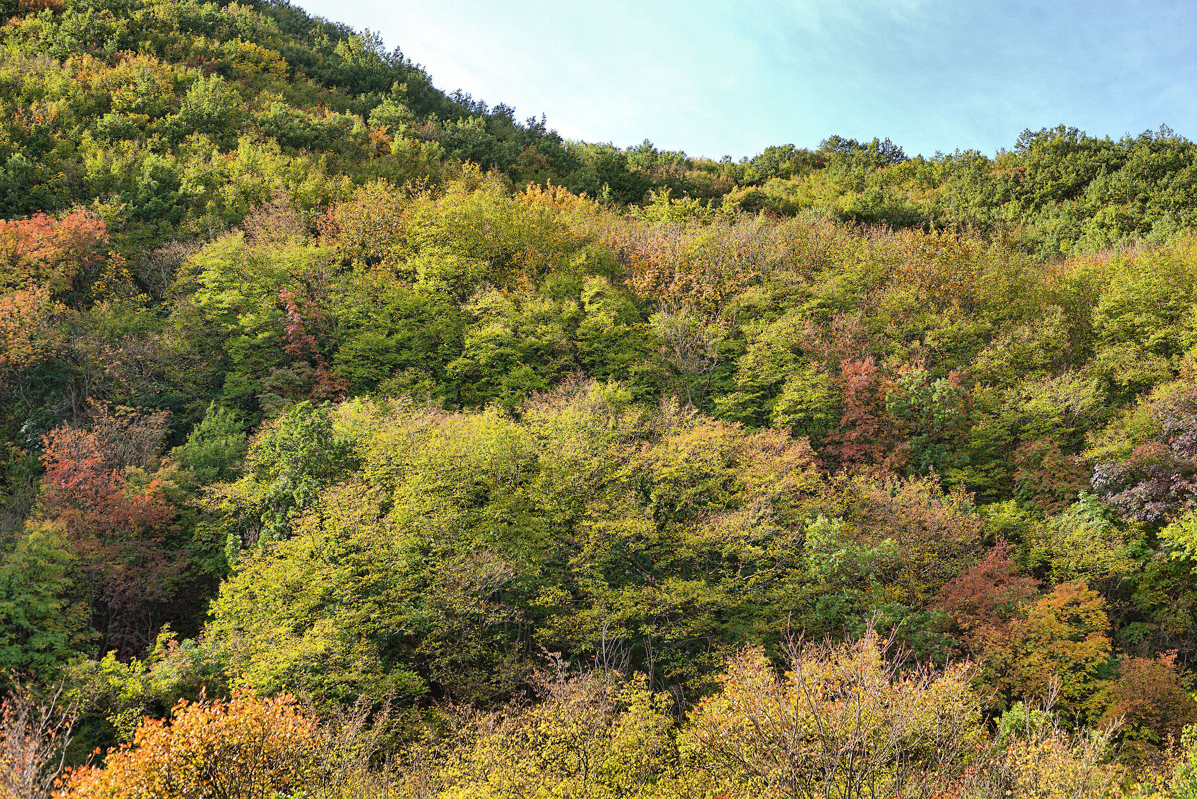 Boschi di Fabriano (AN)