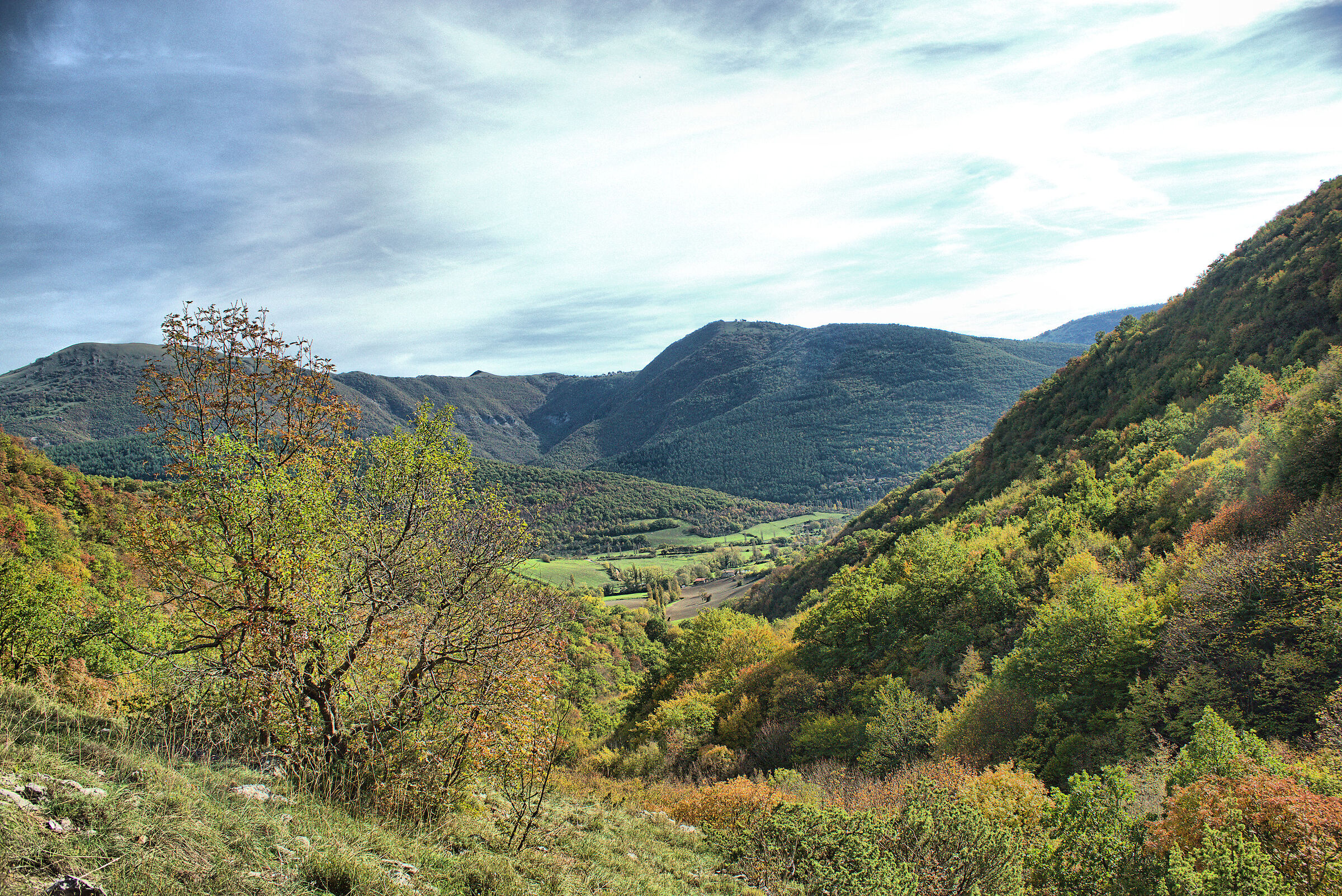 Boschi di Fabriano (AN)