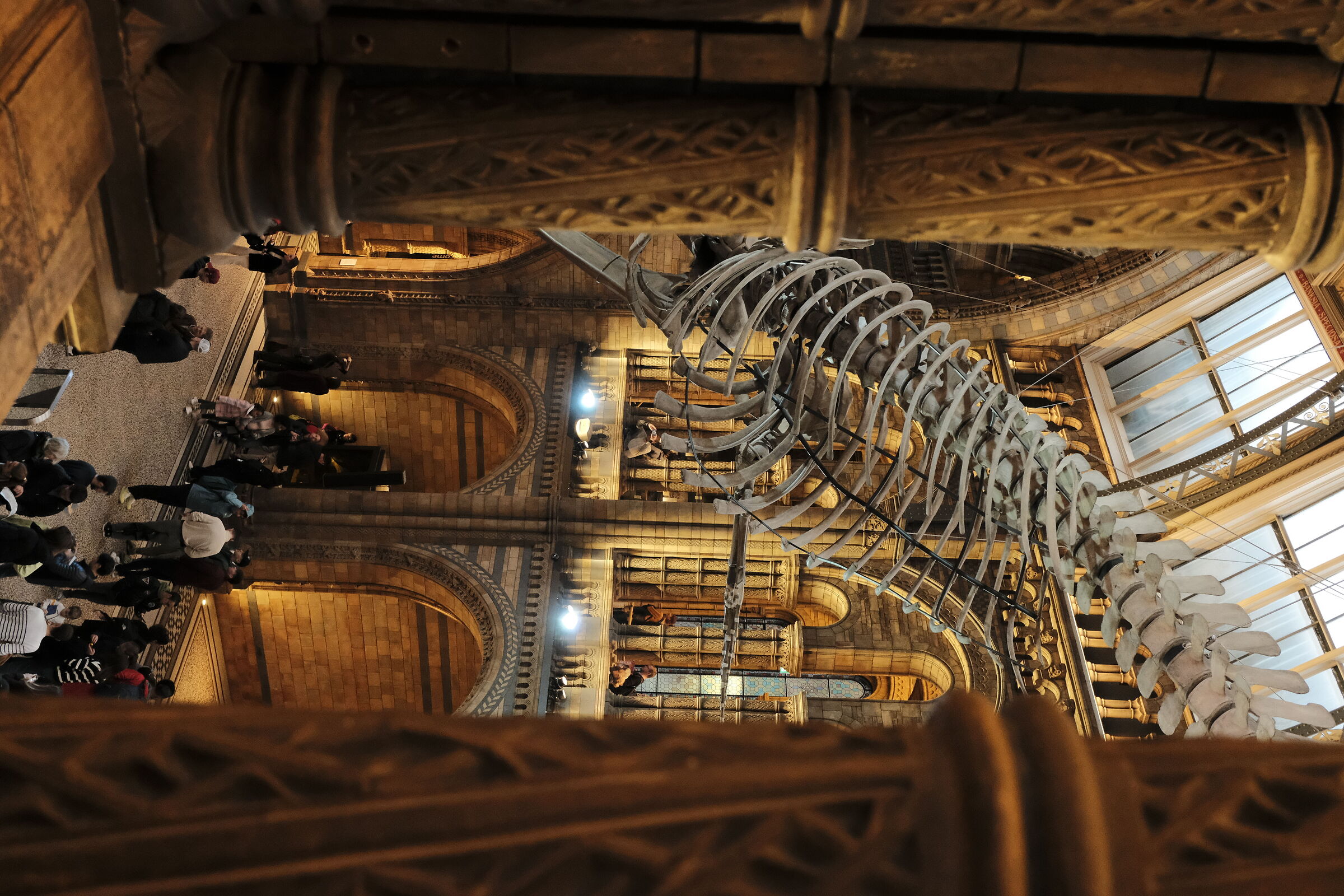 Natural History Museum