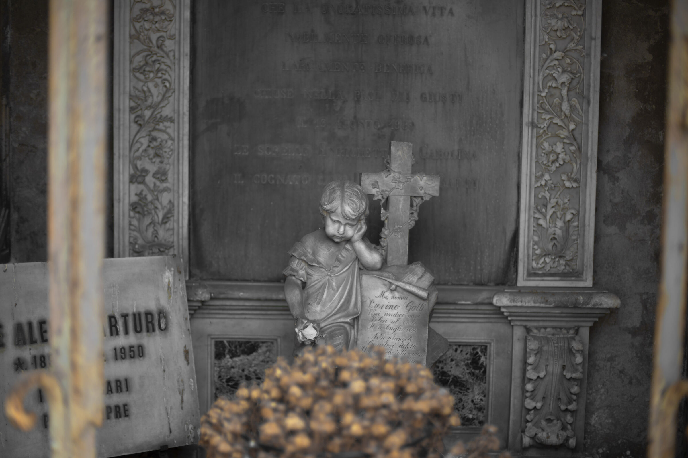 Tra ruggine e fiori secchi