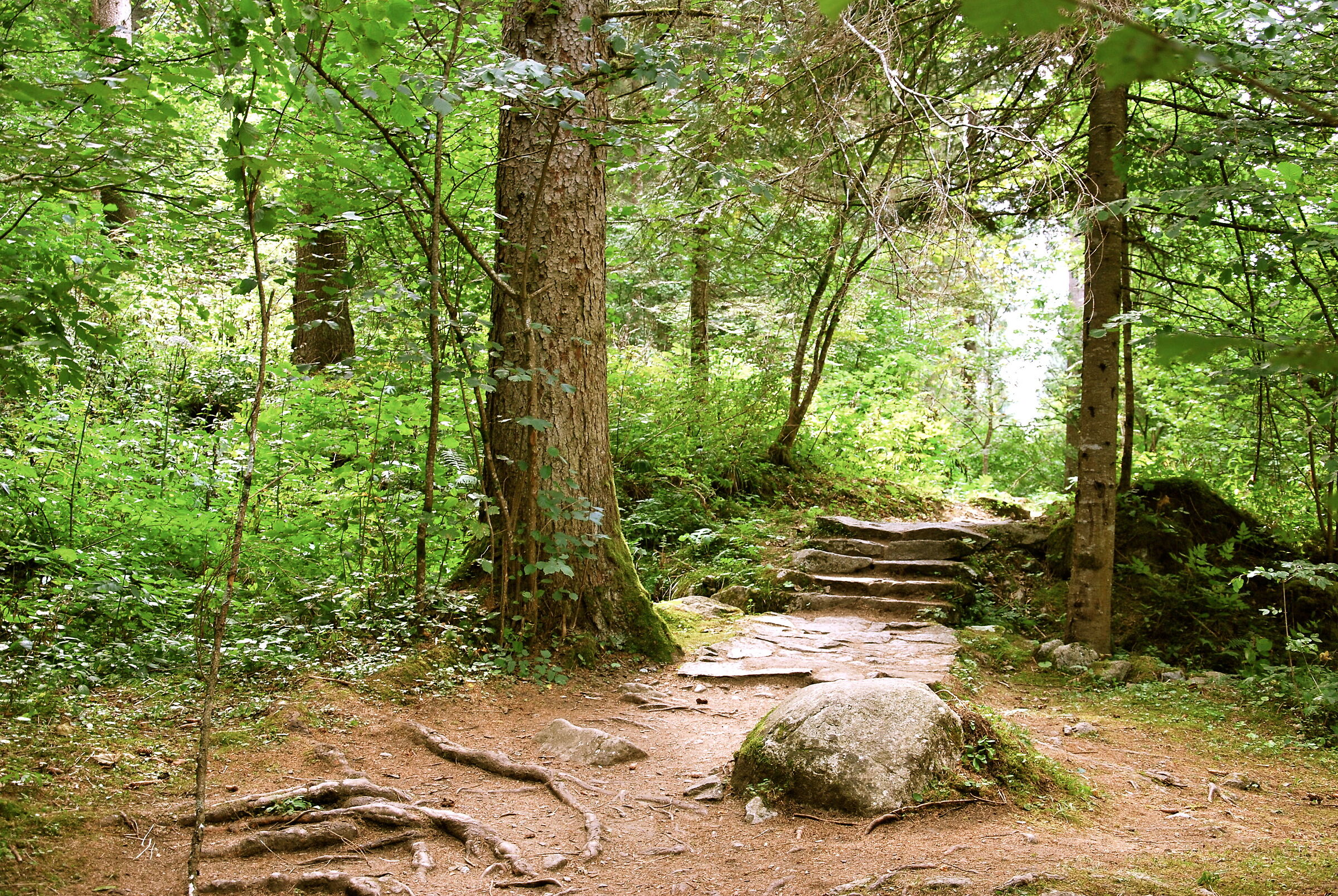 Genoa Valley Trail
