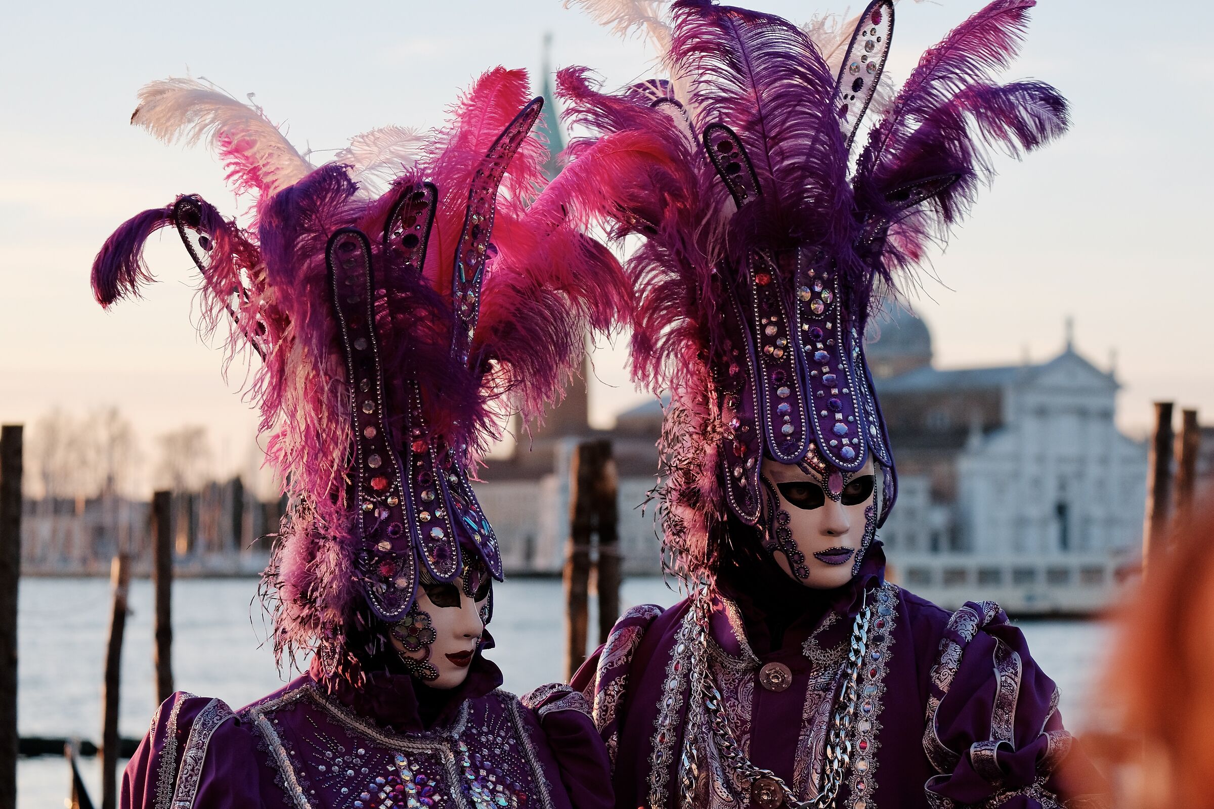 Carnival 11