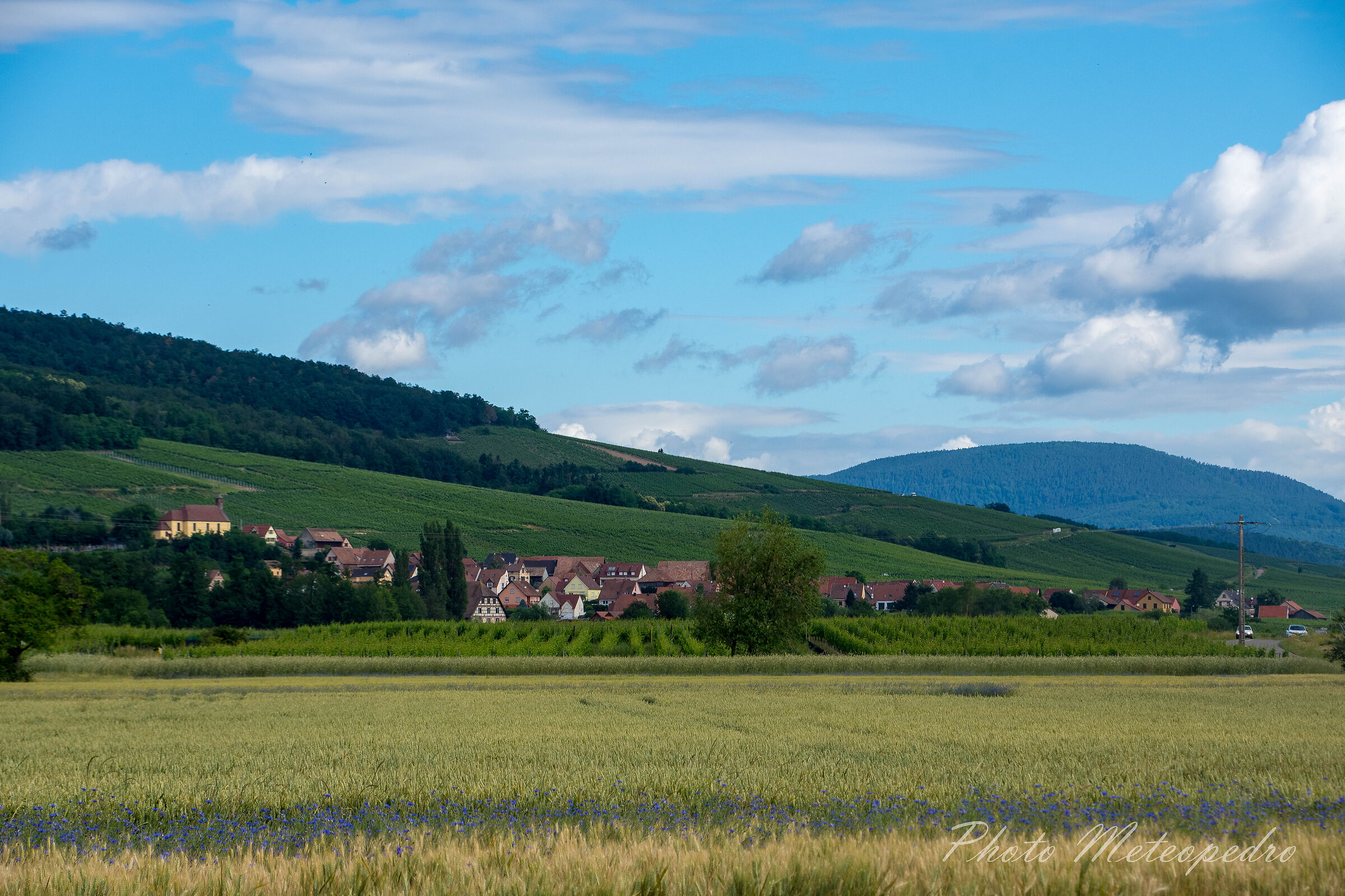 landscape in Colmar (Alsace)