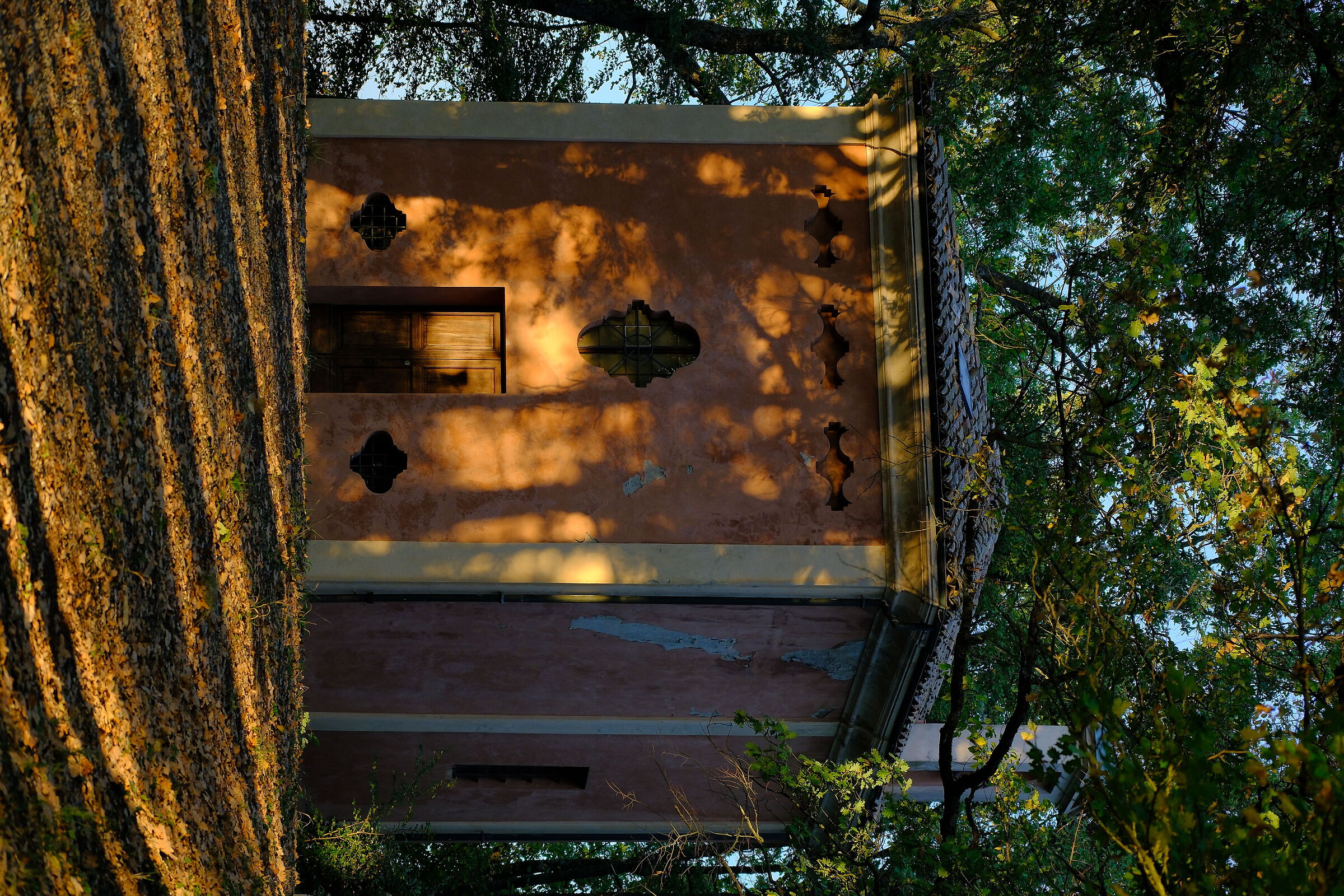 A small church in the woods...
