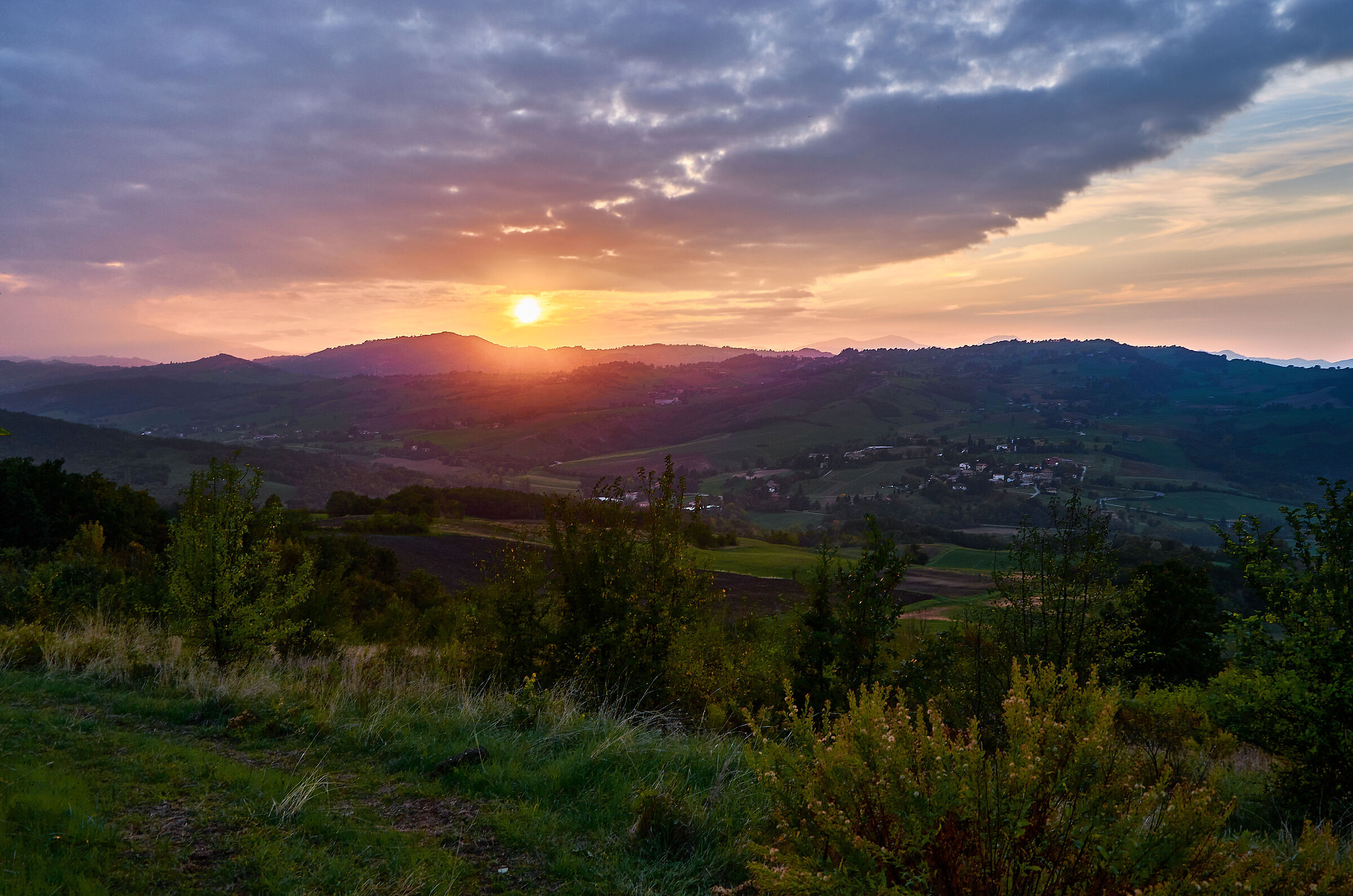 Colline parmensi
