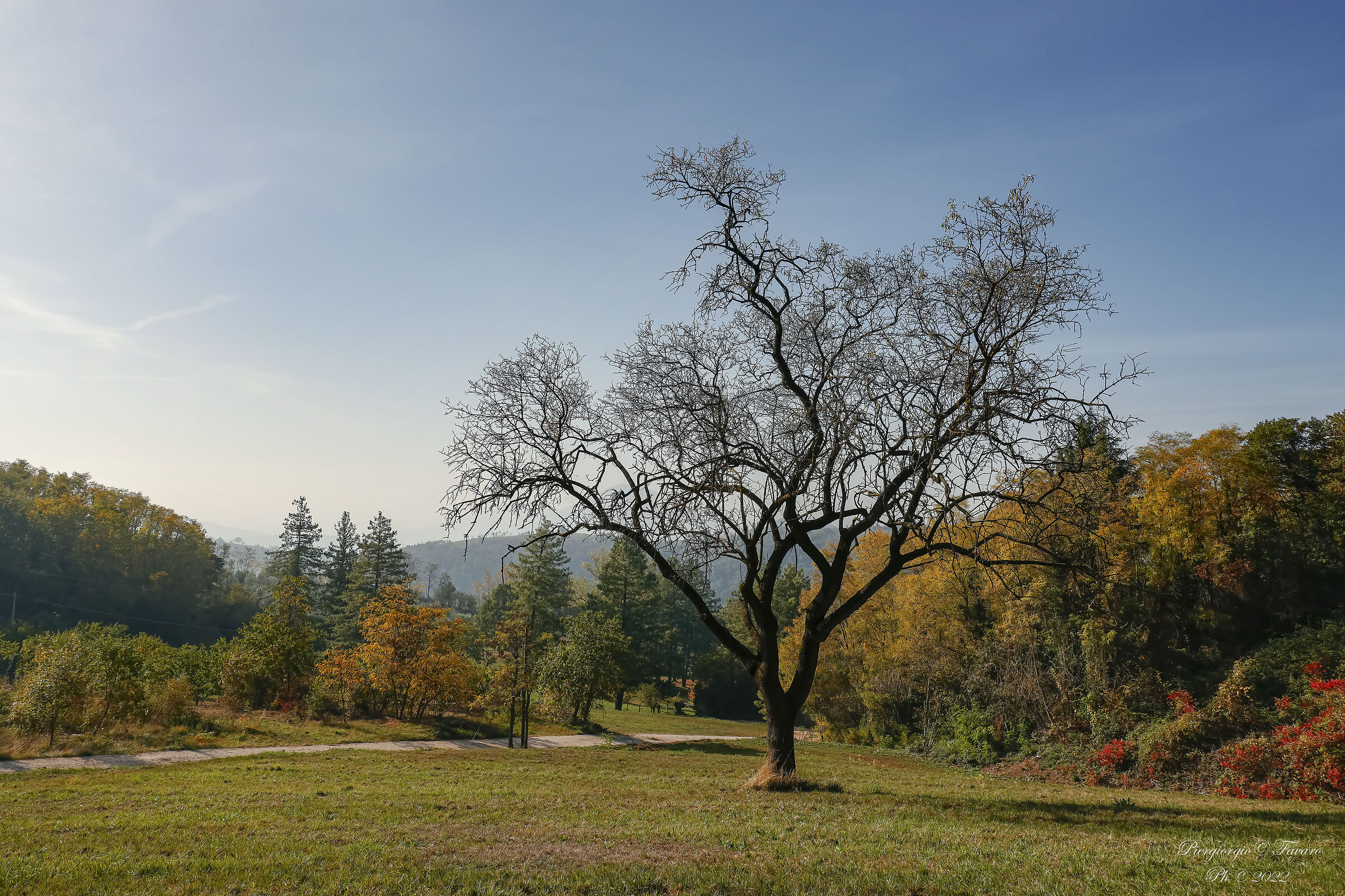 Early Autumn in the Euganean Hills