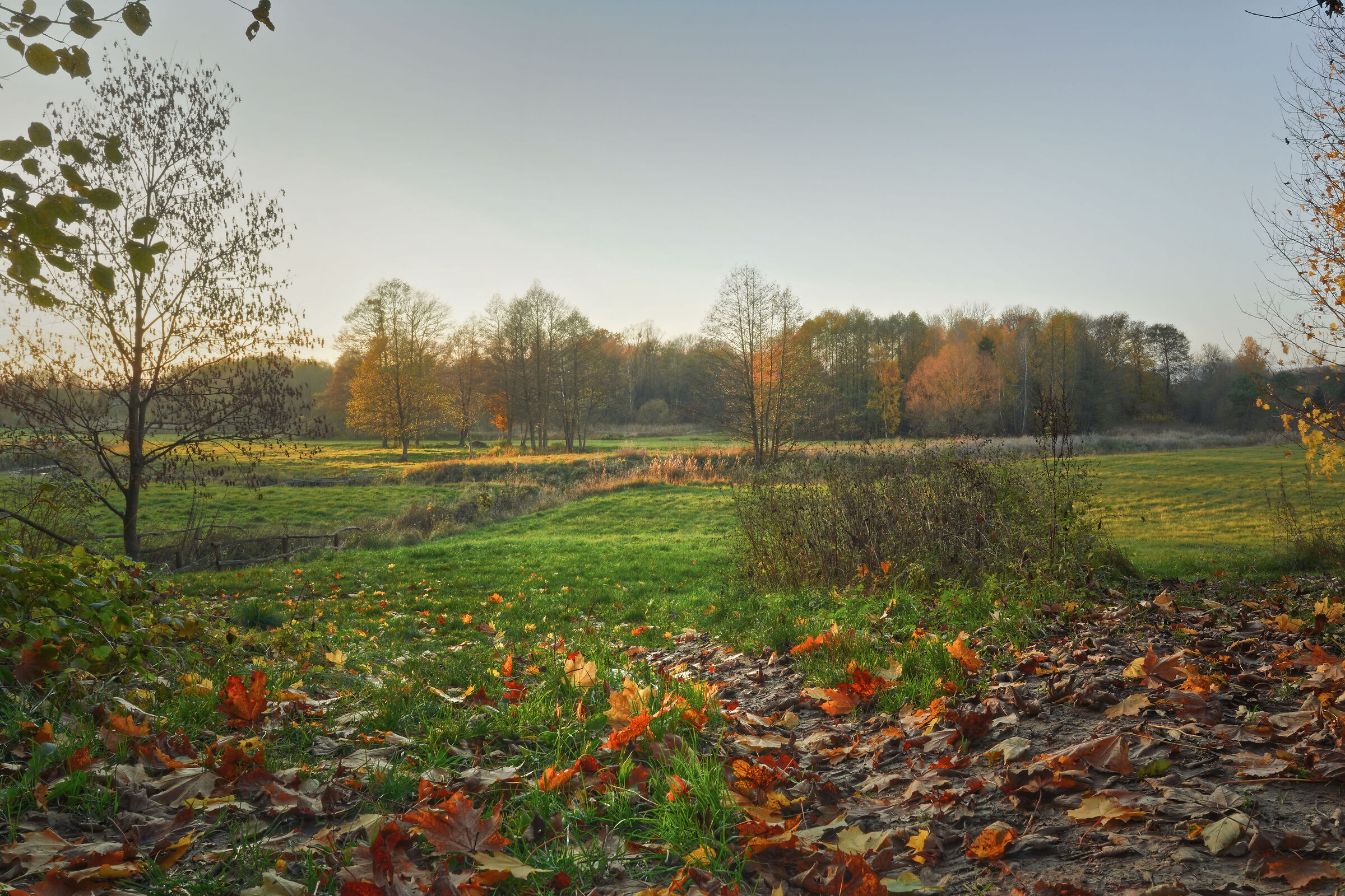 Near the river ?ó&lstrok;kiewka