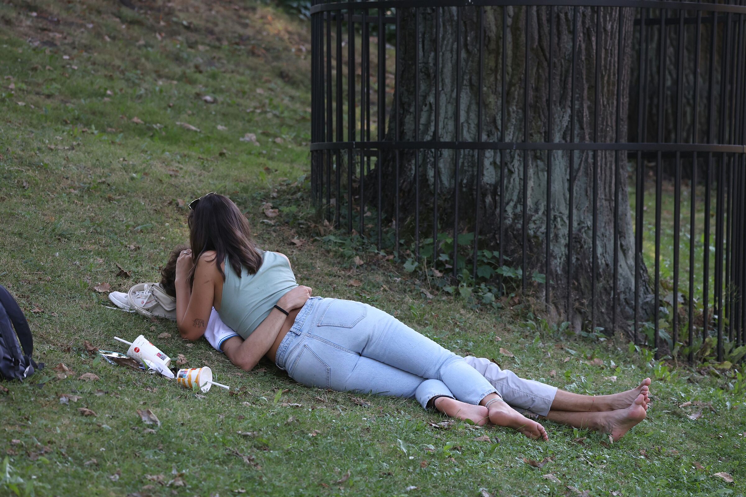 Walking nests in the park