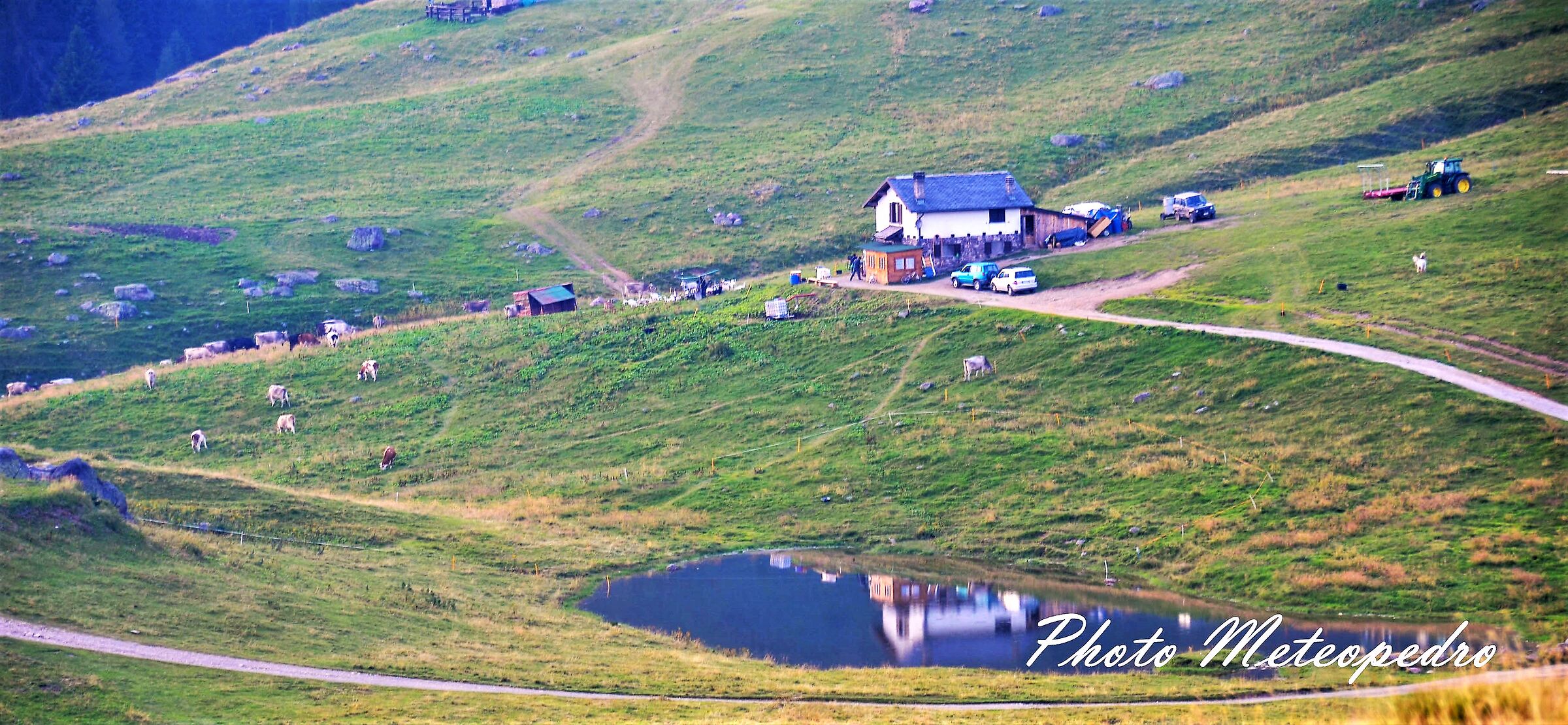 Riflessi Piani dell'Avaro