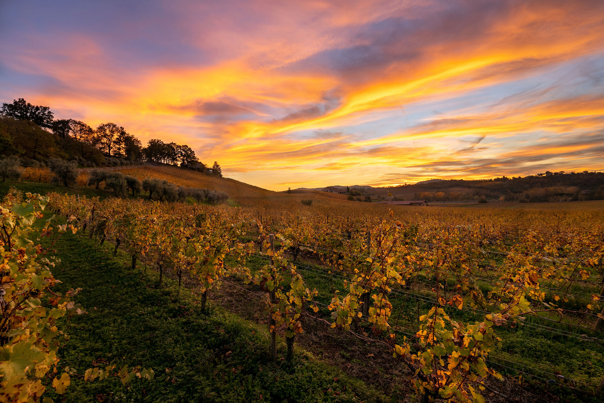 Sunsets of Franciacorta