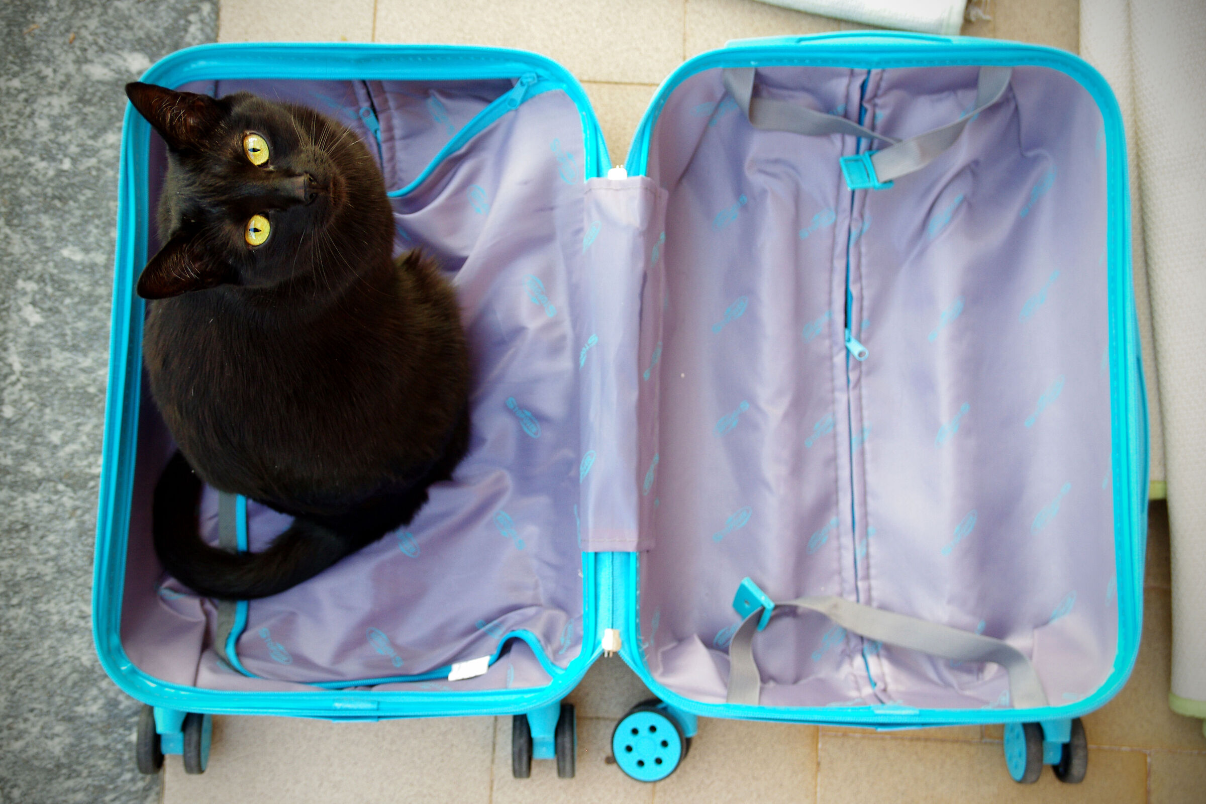 I'm ready, shall we leave?