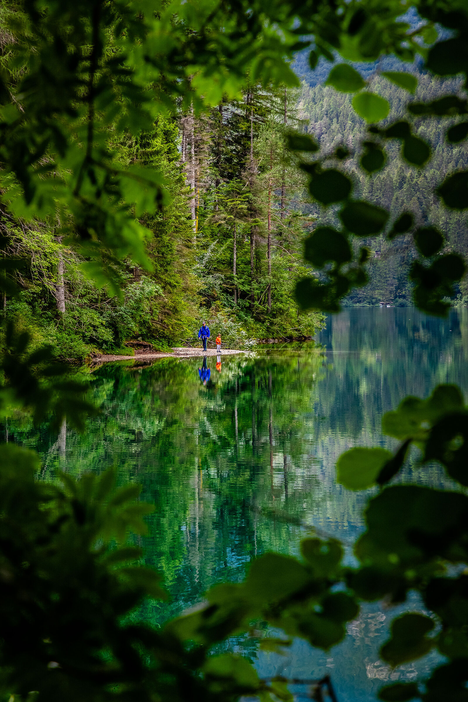 Towards a fairy world