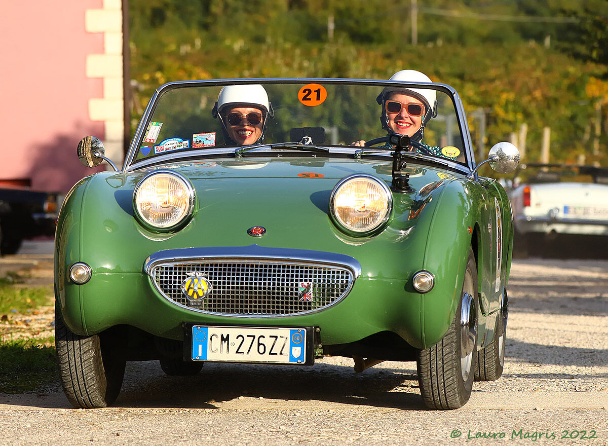 Austin Healey Frogeye (1960)