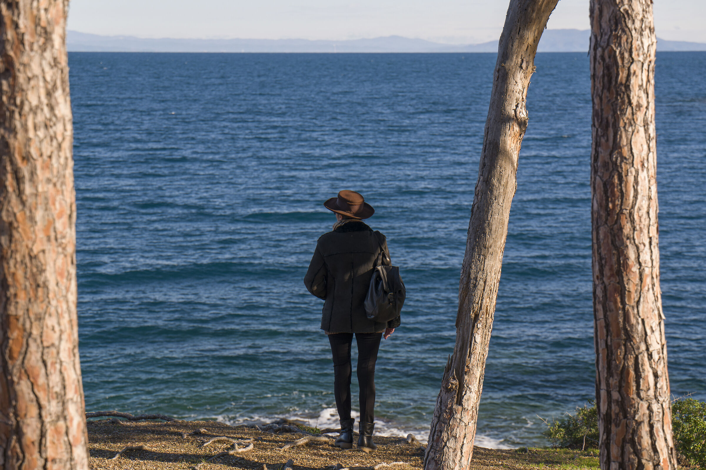 Scanning the horizon