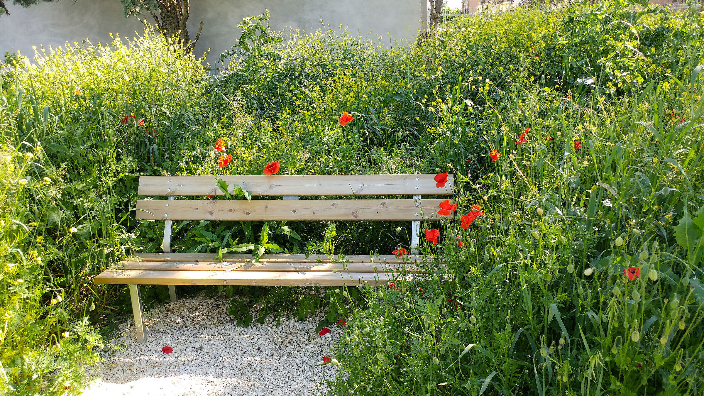 Urban furniture at the time of Covid