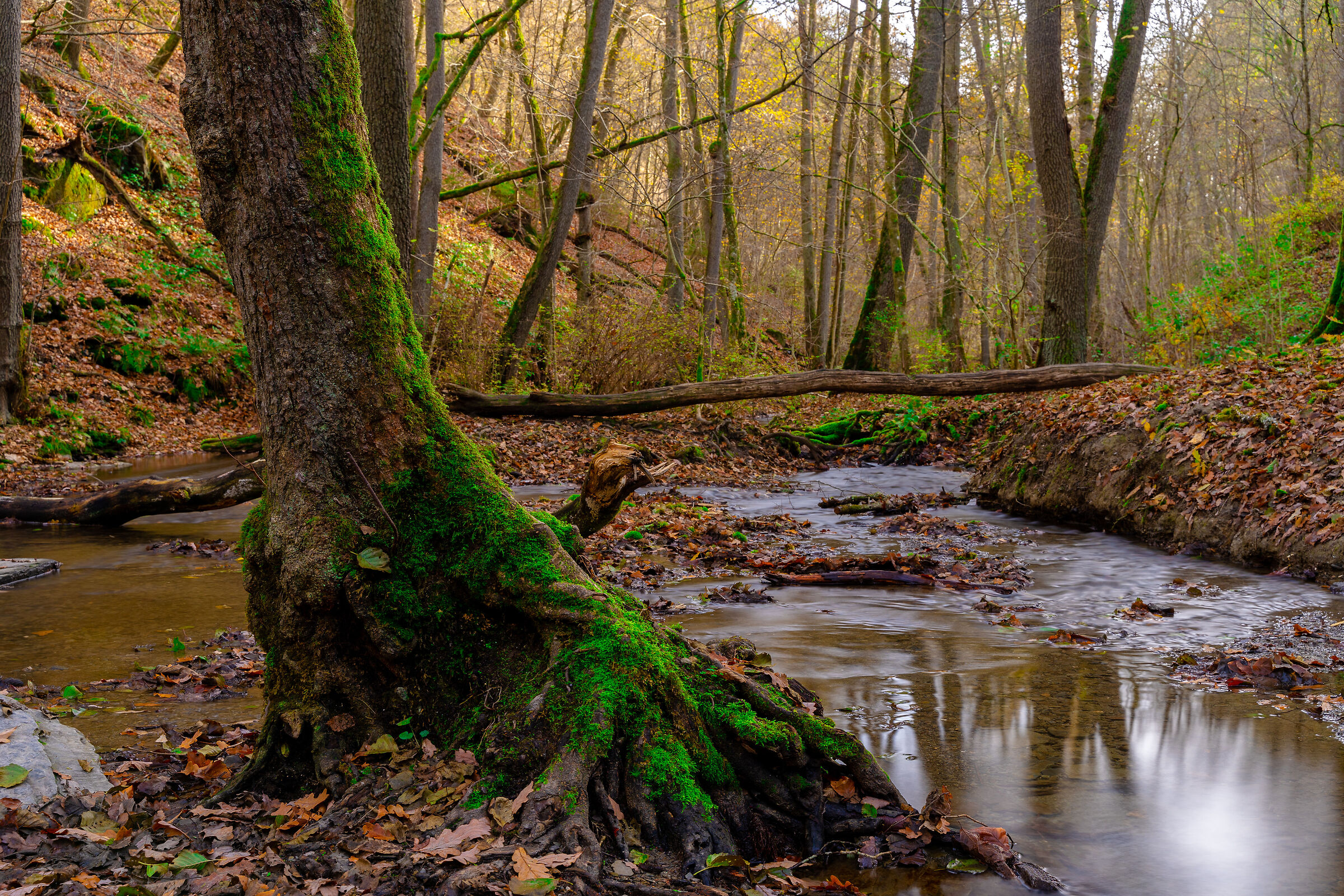 Maria Martental Waterfall