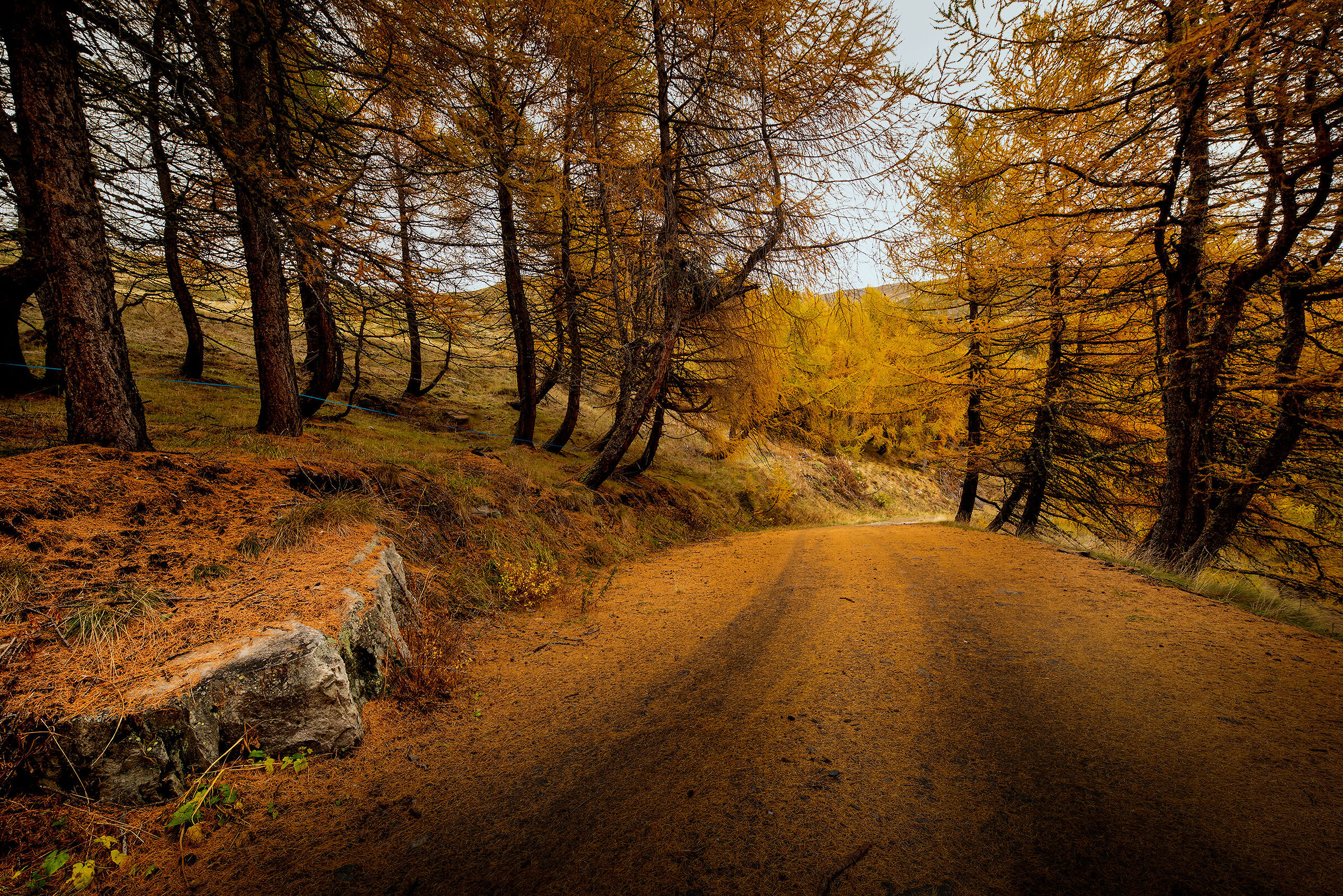 Unfortunately they fall!