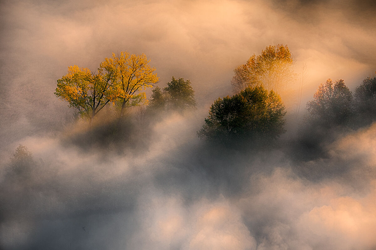 Lights and colors in the fog!