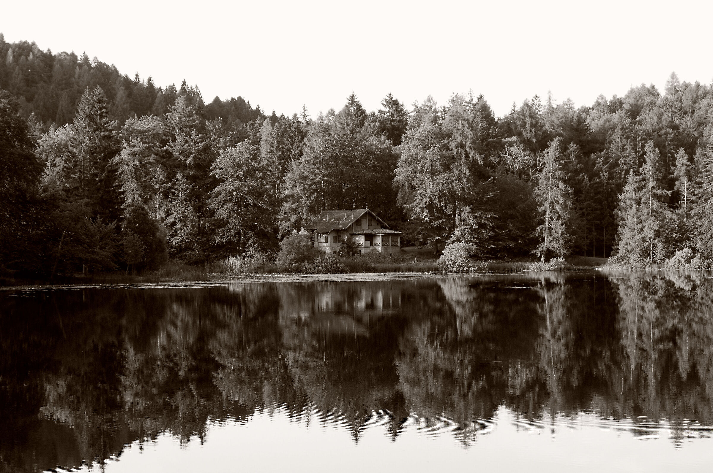 The house on the lake