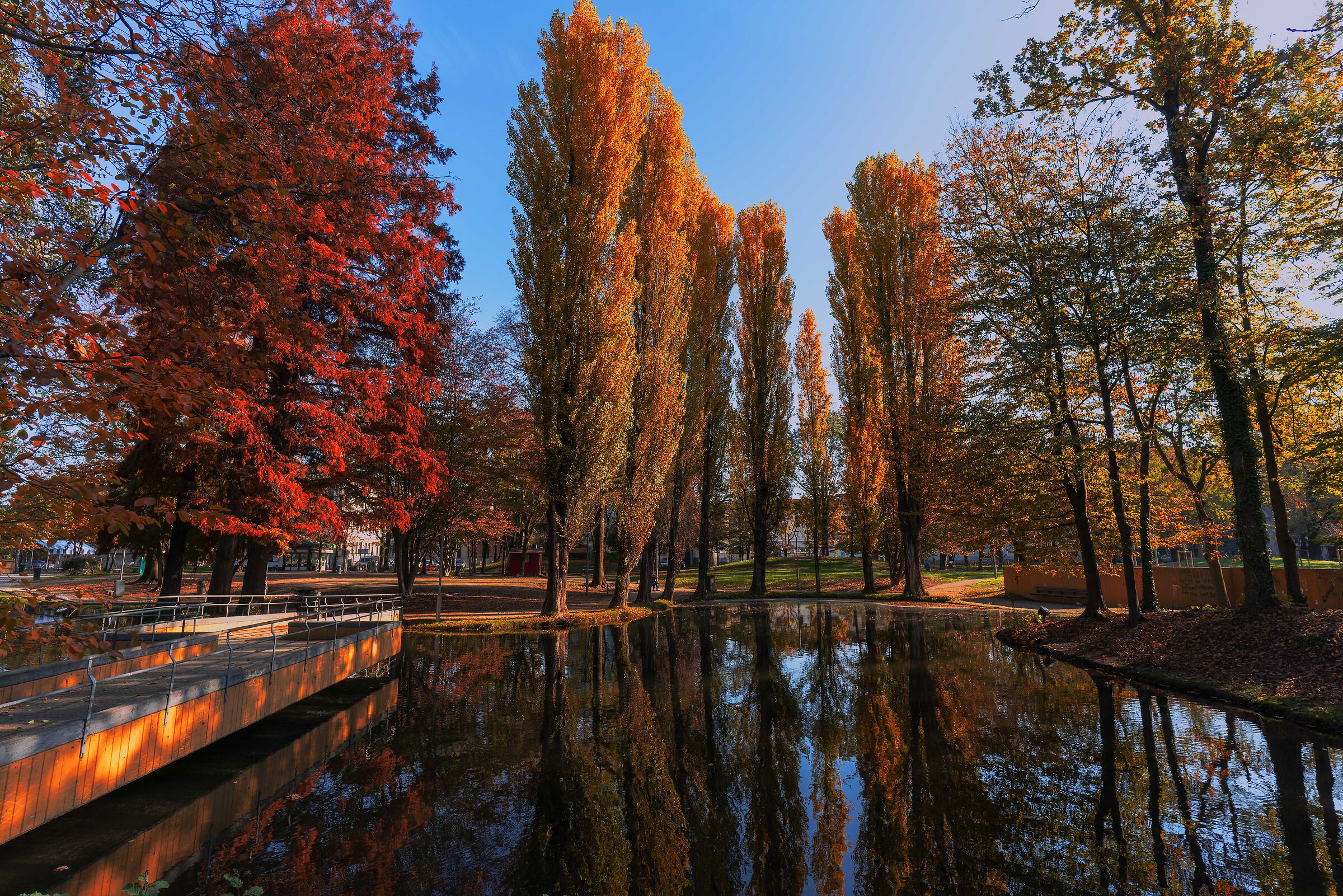 I colori dell'autunno