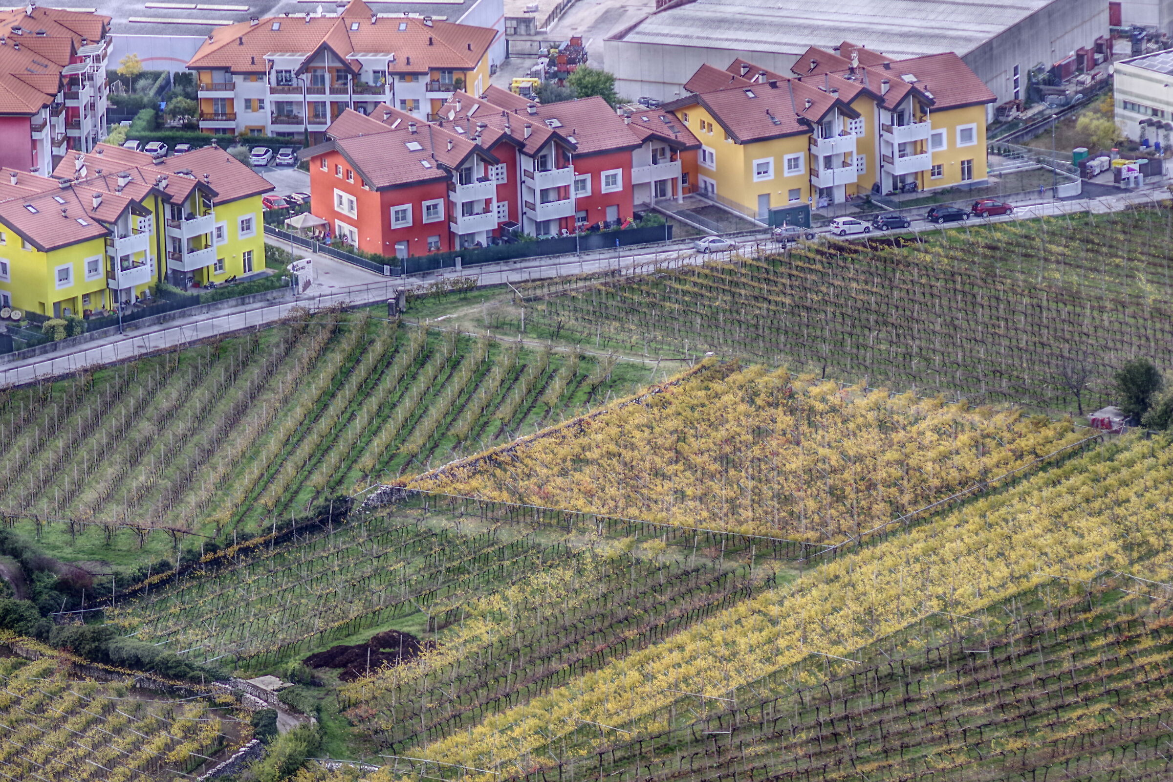 View from Castel Beseno