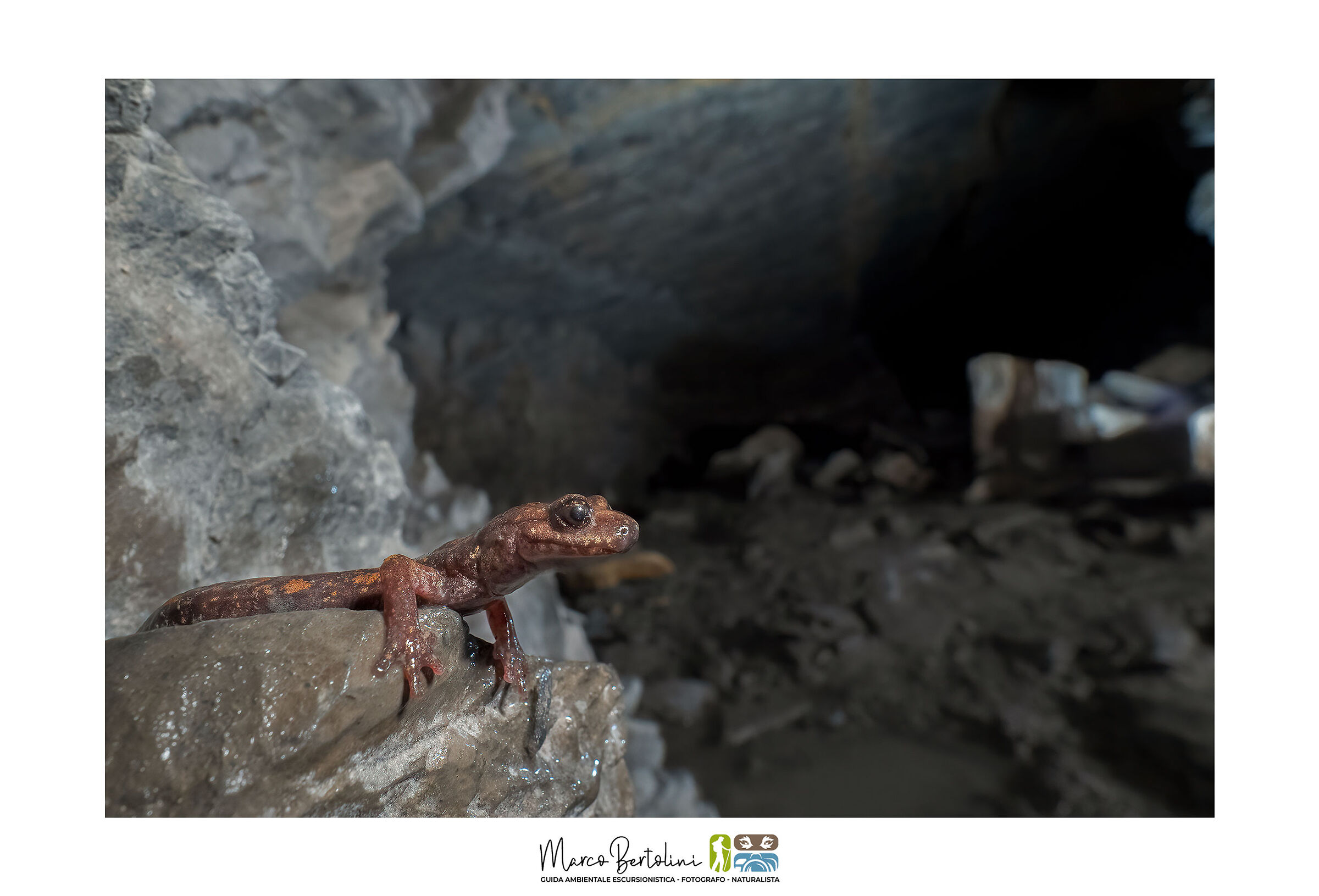 Abitanti delle grotte