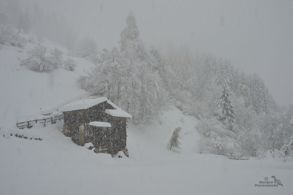 In augurio di un buon vero inverno