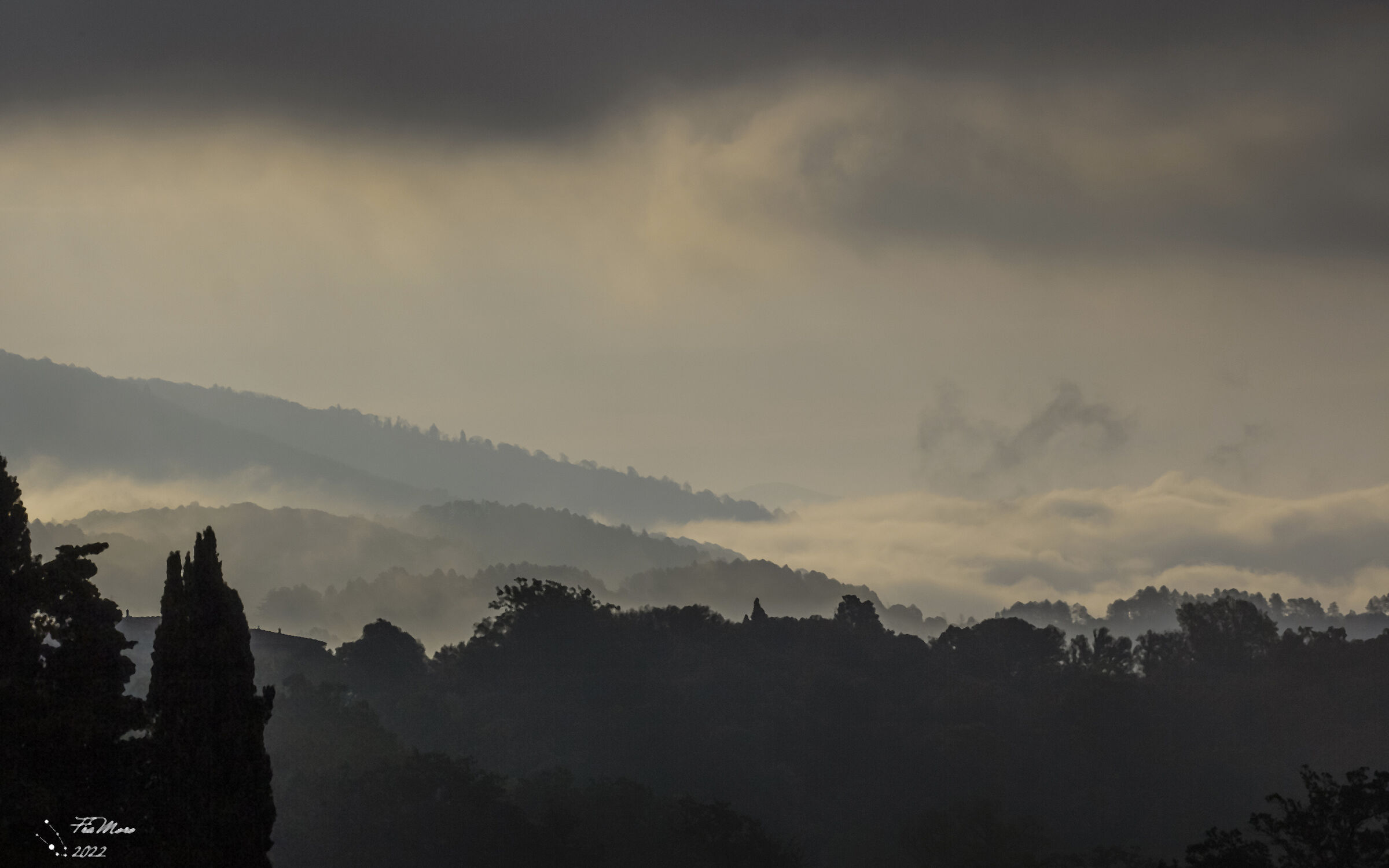 La nebbia agli irti colli