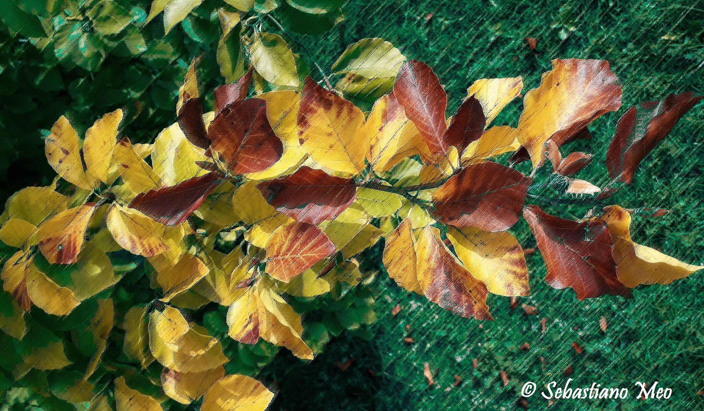 Autumn