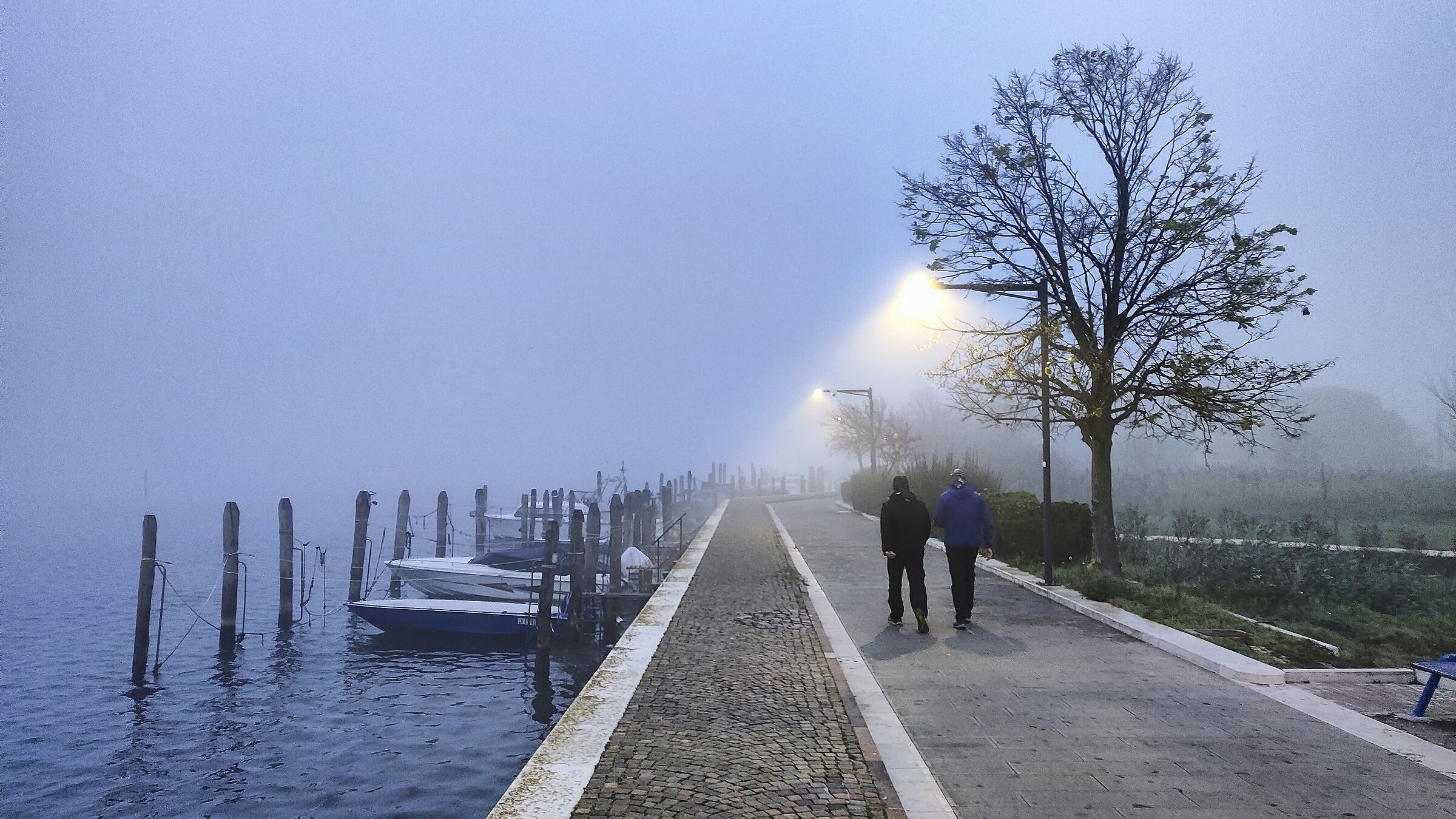 Chioggia nea nebia