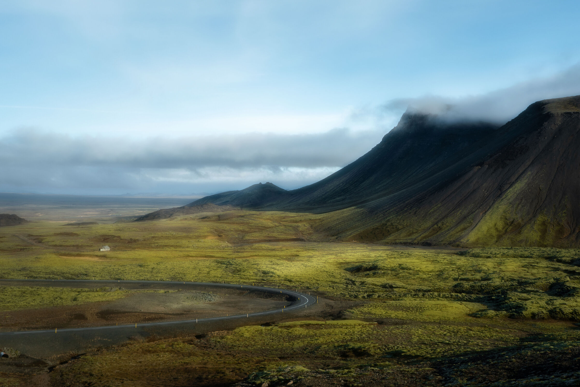 Green Landscape