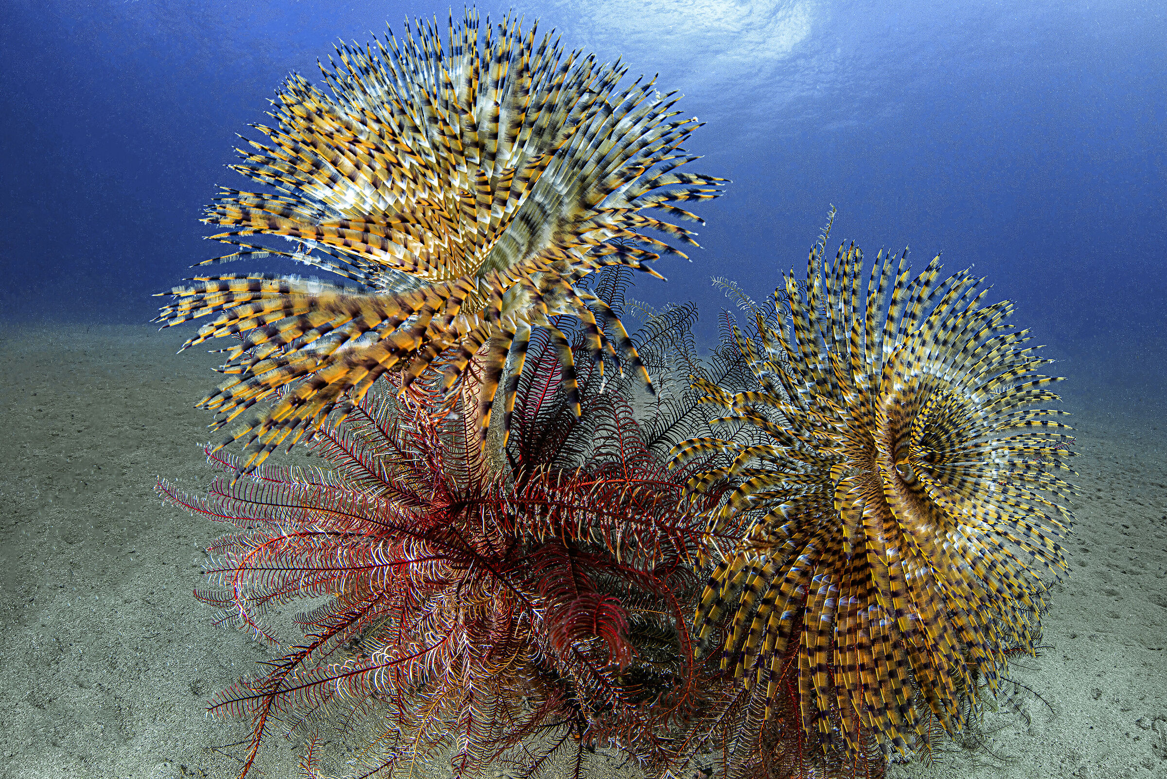 la bellezza del mare