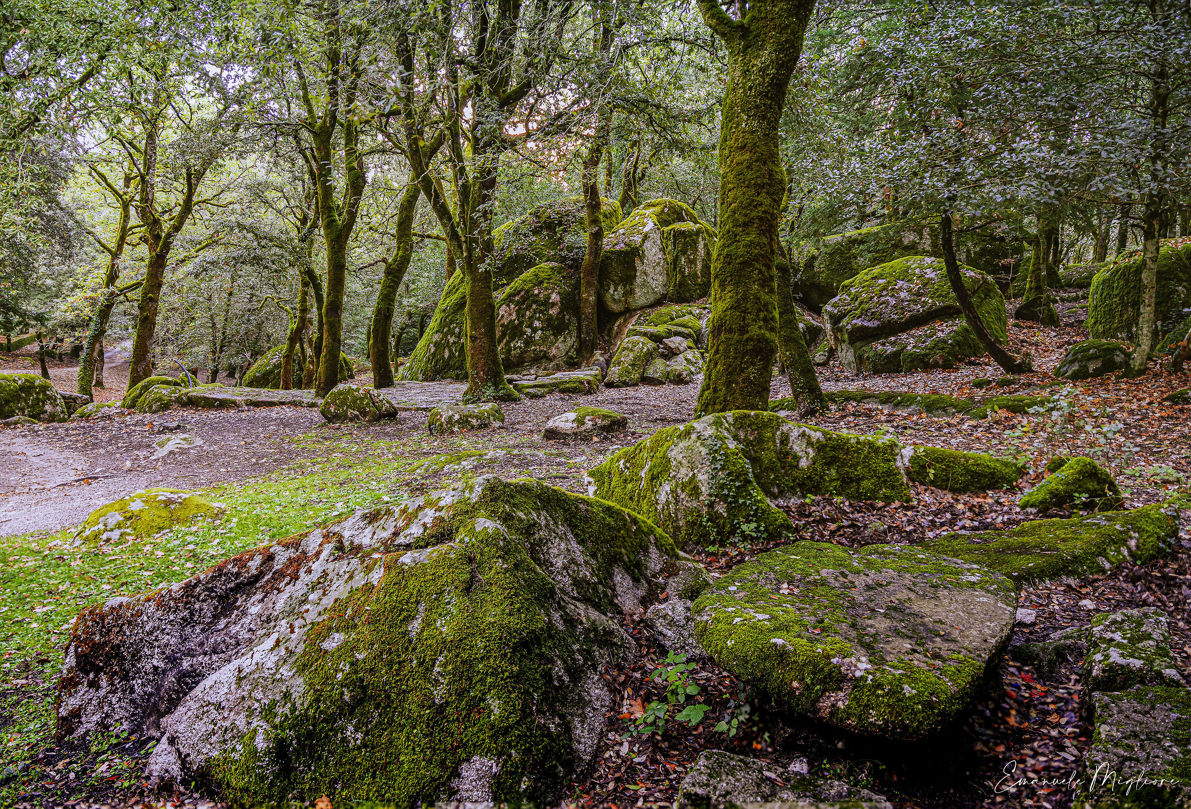 Into the wilds of my Sardinia