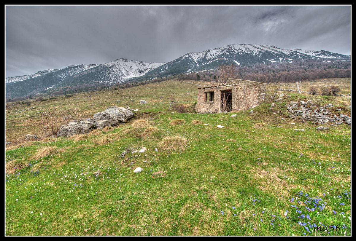 Monte Baldo - loc. Novezzina
