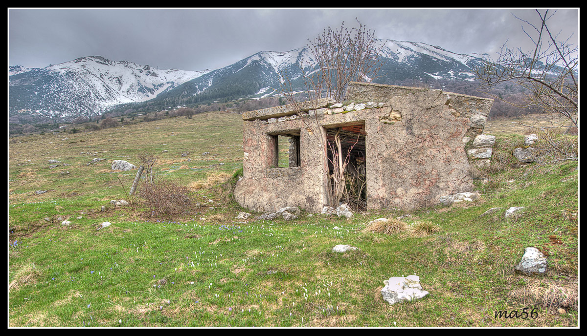 Monte Baldo - loc. Novezzina