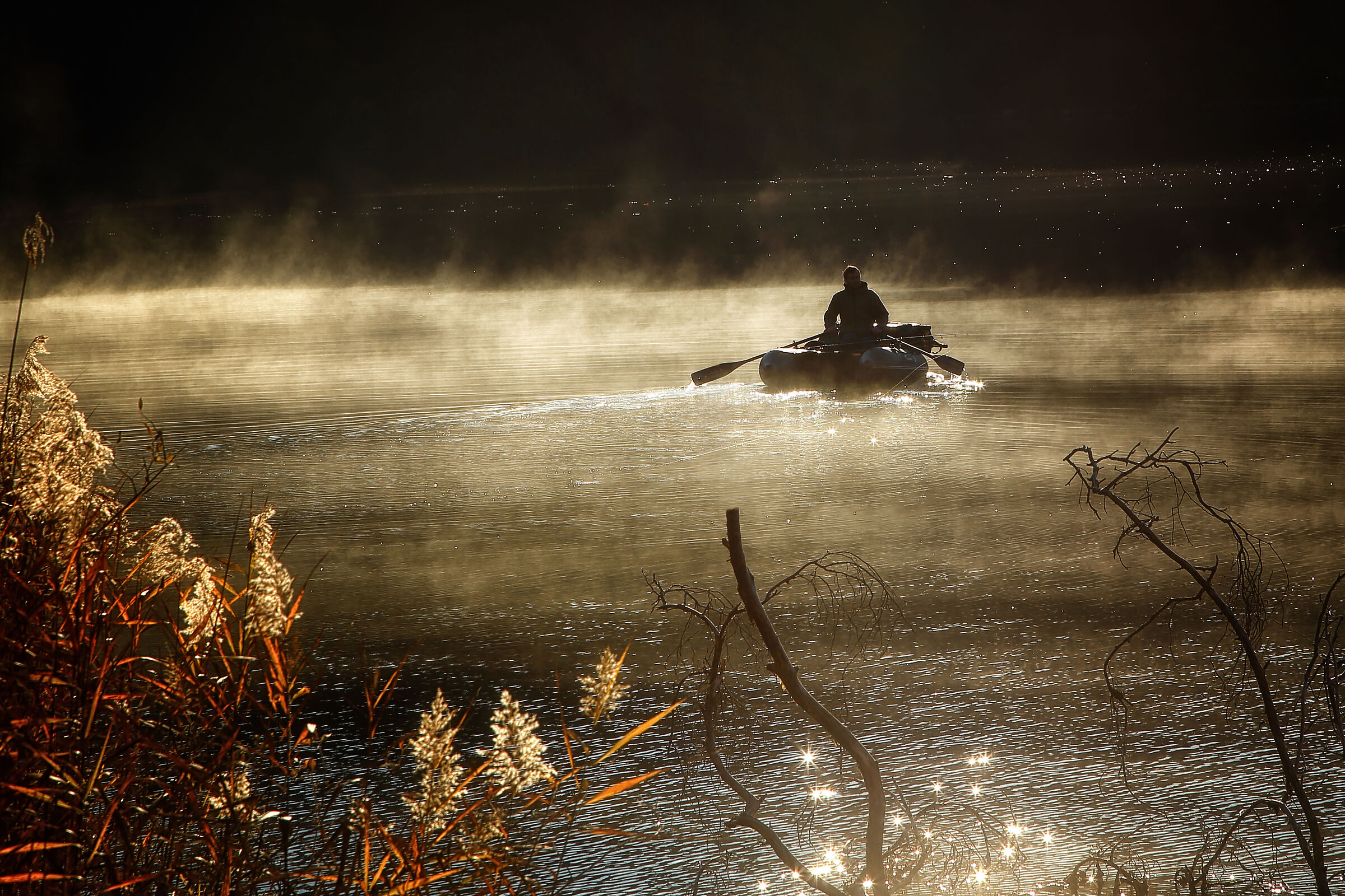 A morning of fishing
