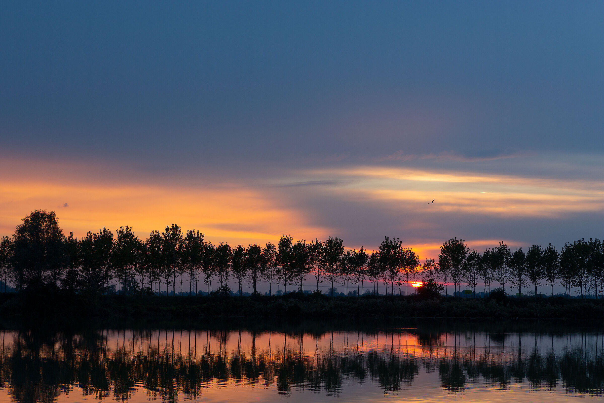 The sky above the "Bassa"