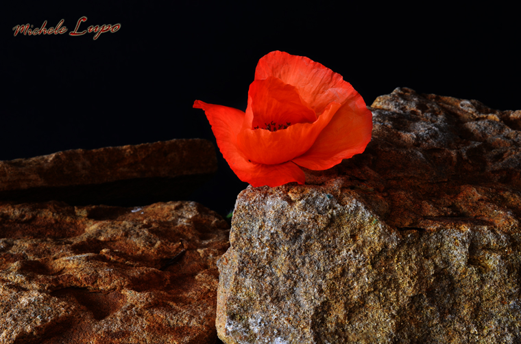 Are high ... high and you're little one what it seems