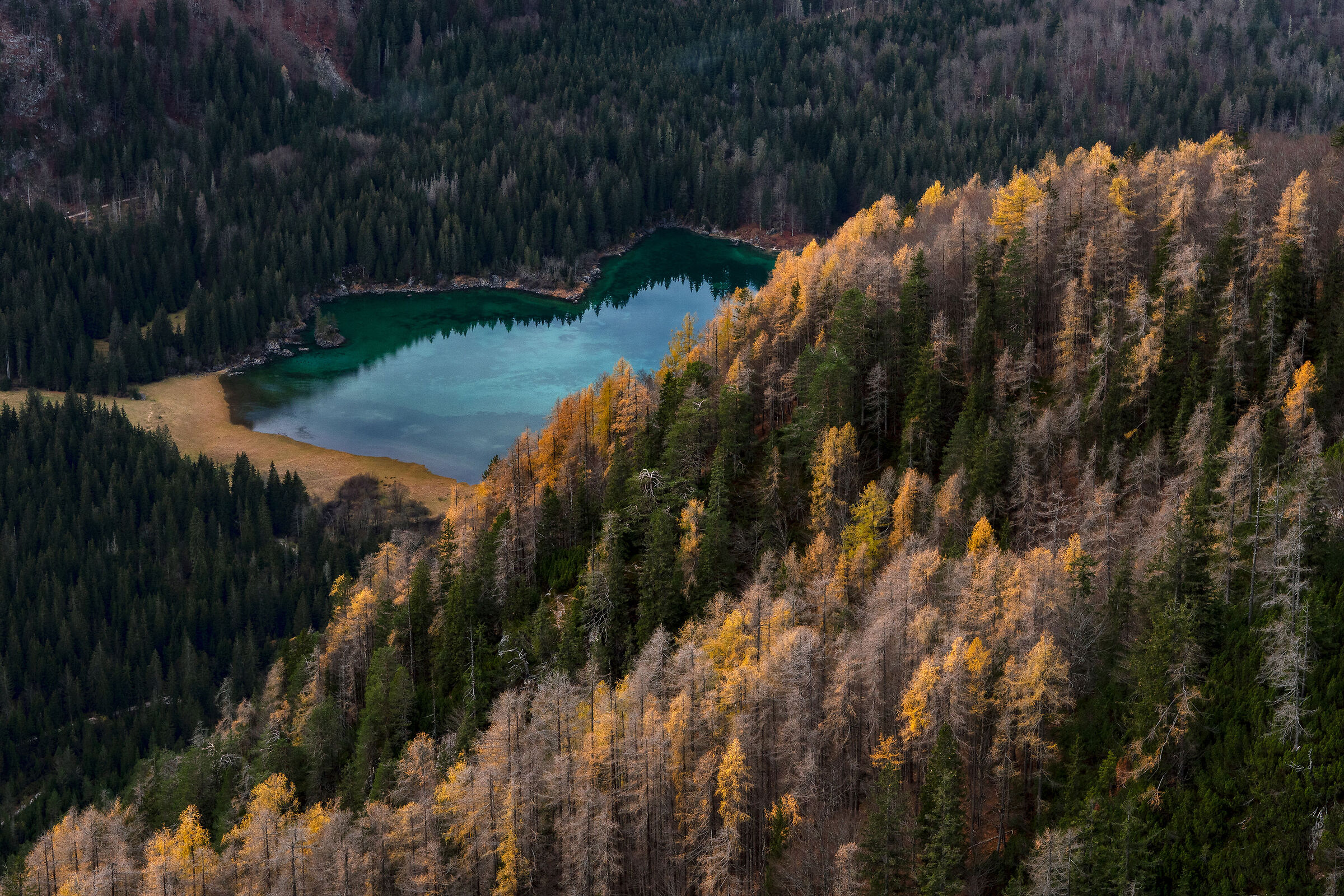 Ultime cromie d'autunno - Lago sup. di Fusine - Italy